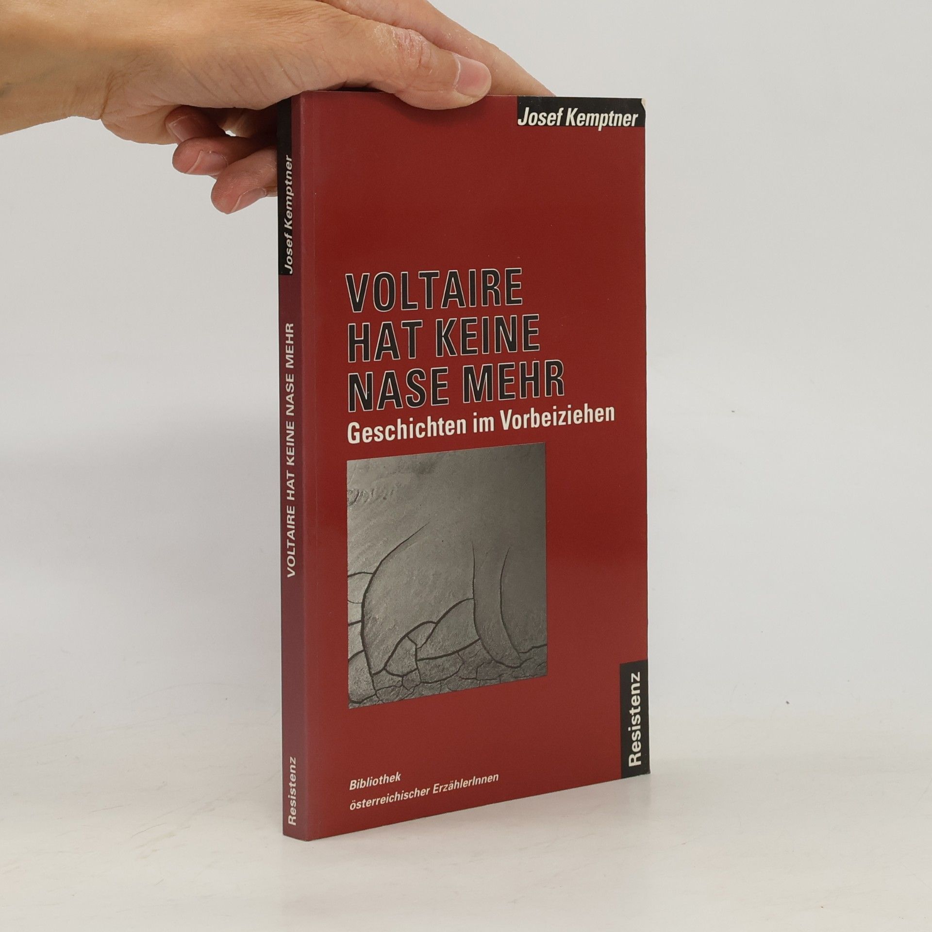 Voltaire hat keine Nase mehr: Geschichten im Vorbeiziehen