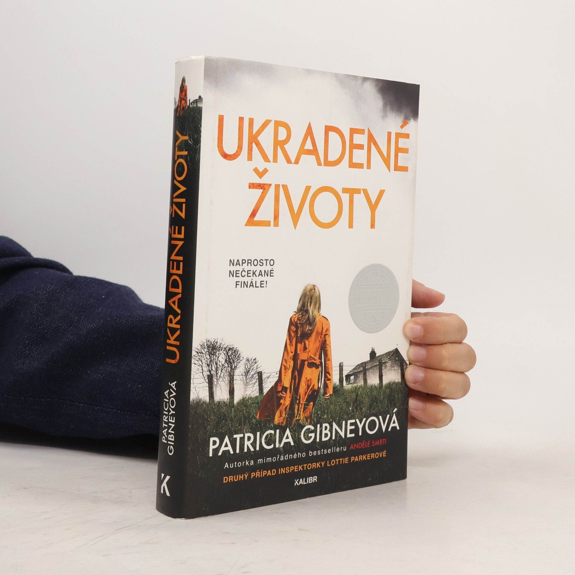 Patricia Gibney Ukradené životy