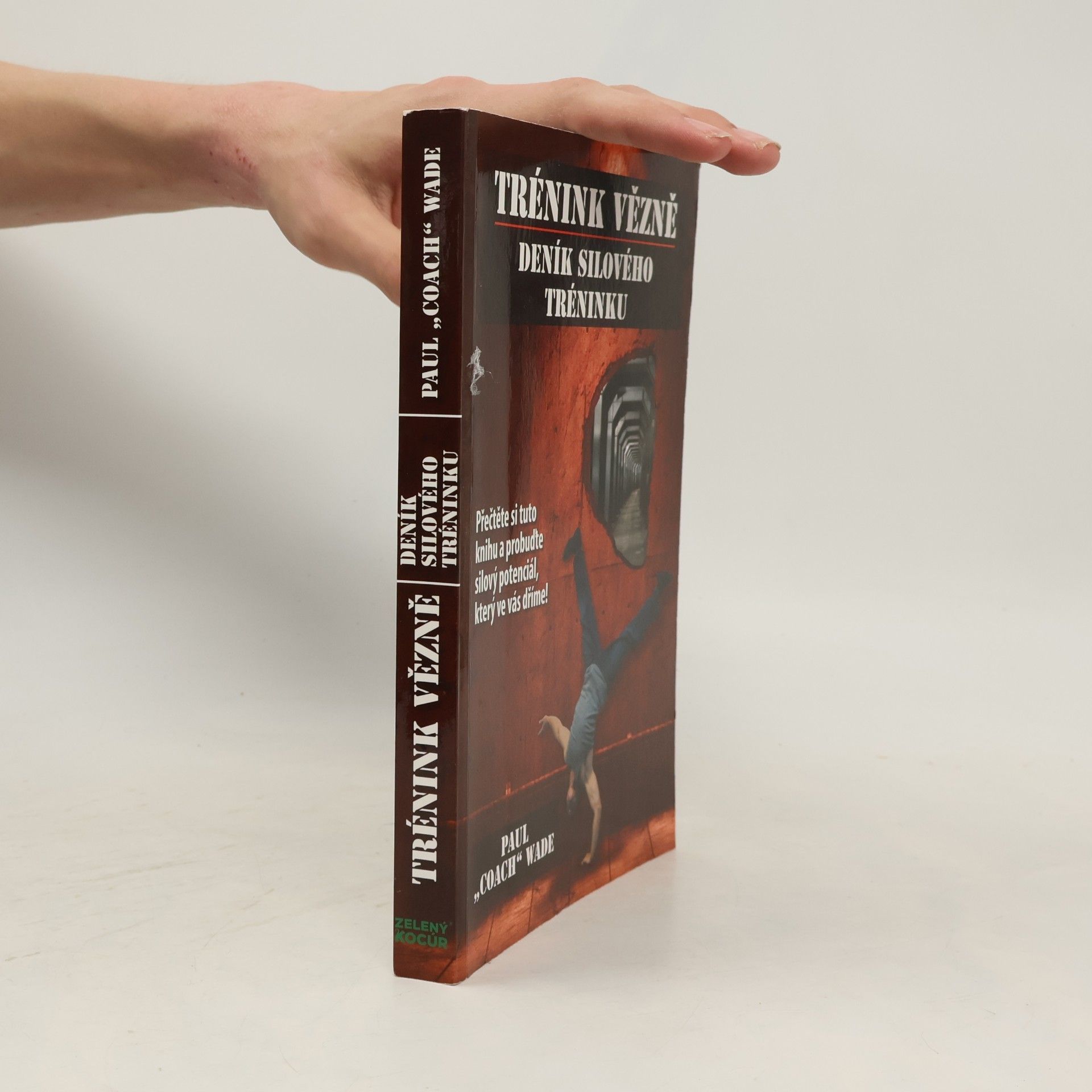 Paul Wade Trénink vězně - Deník silového tréninku