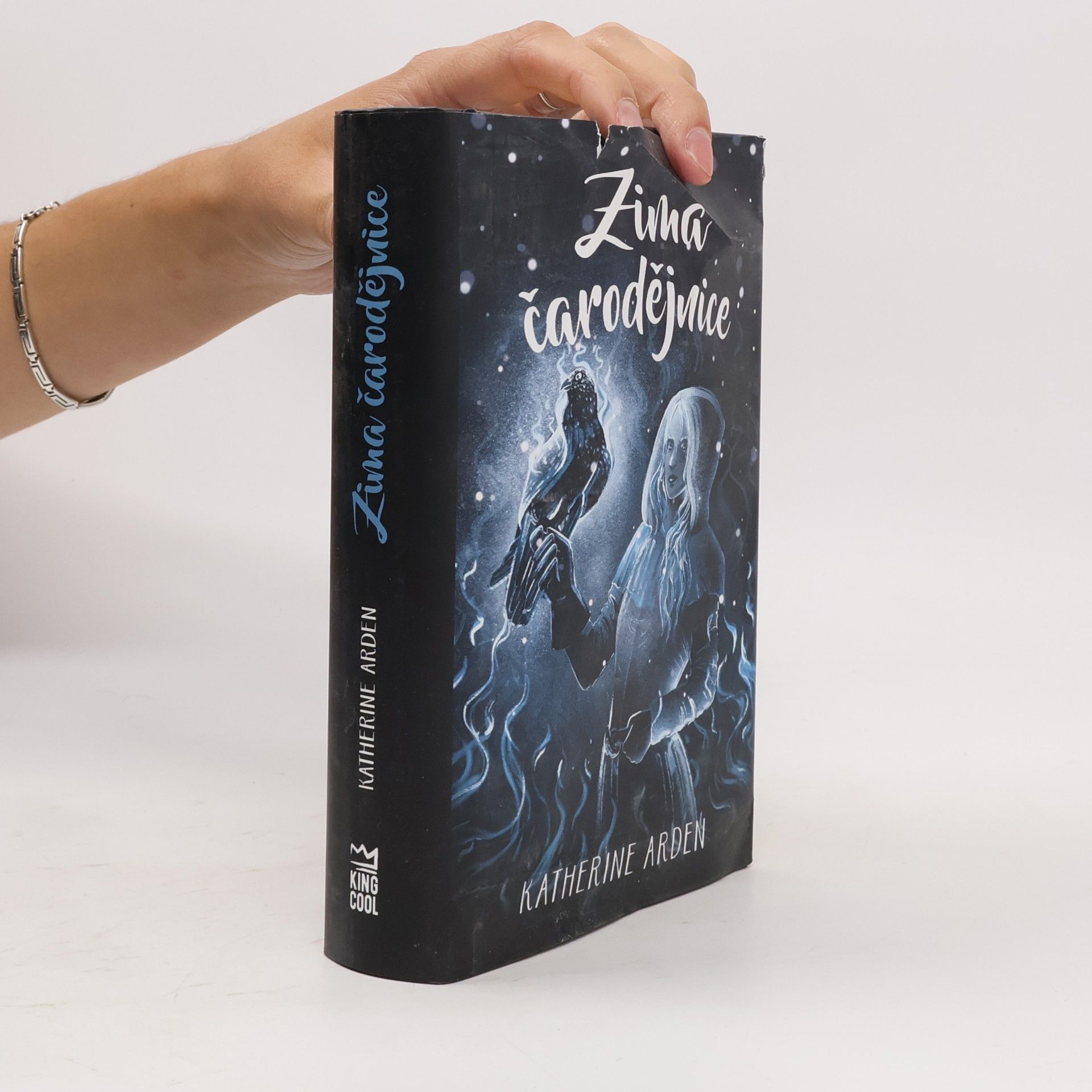 Katherine Arden Zima čarodějnice