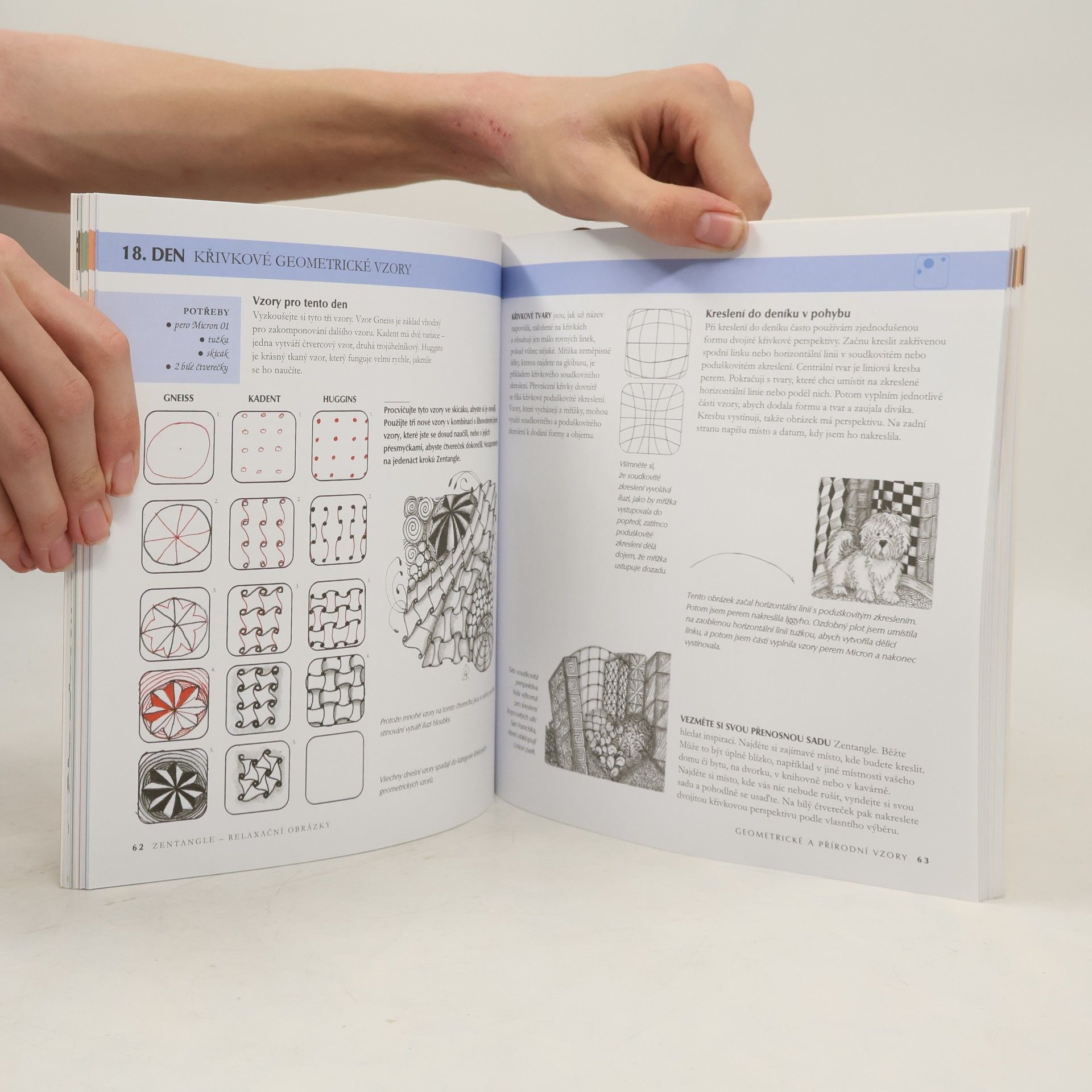 Beckah Krahula Zentangle : relaxační obrázky : kreativní kresba - inspirace i zábava