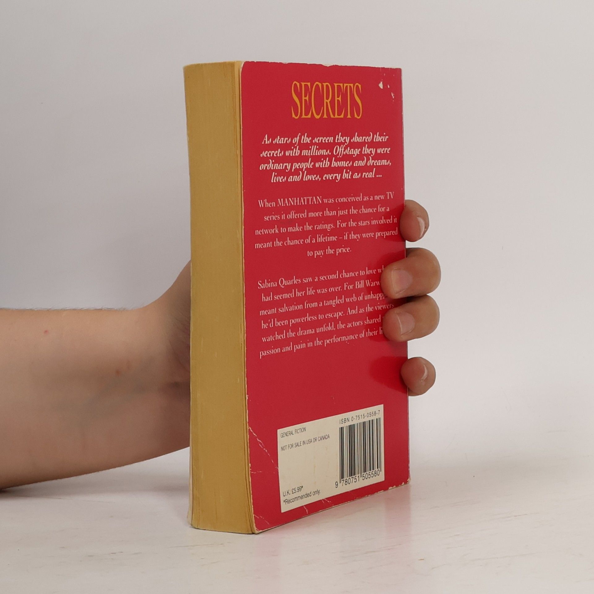 Danielle Steel Secrets