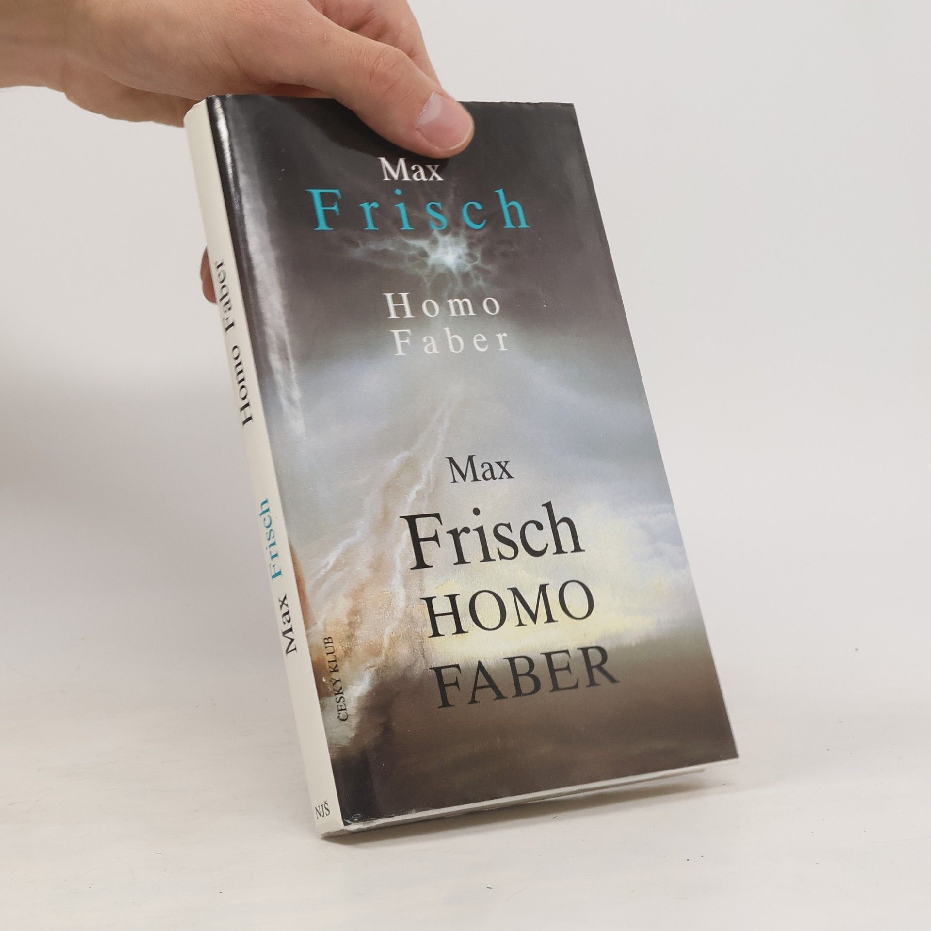 Max Frisch Homo Faber