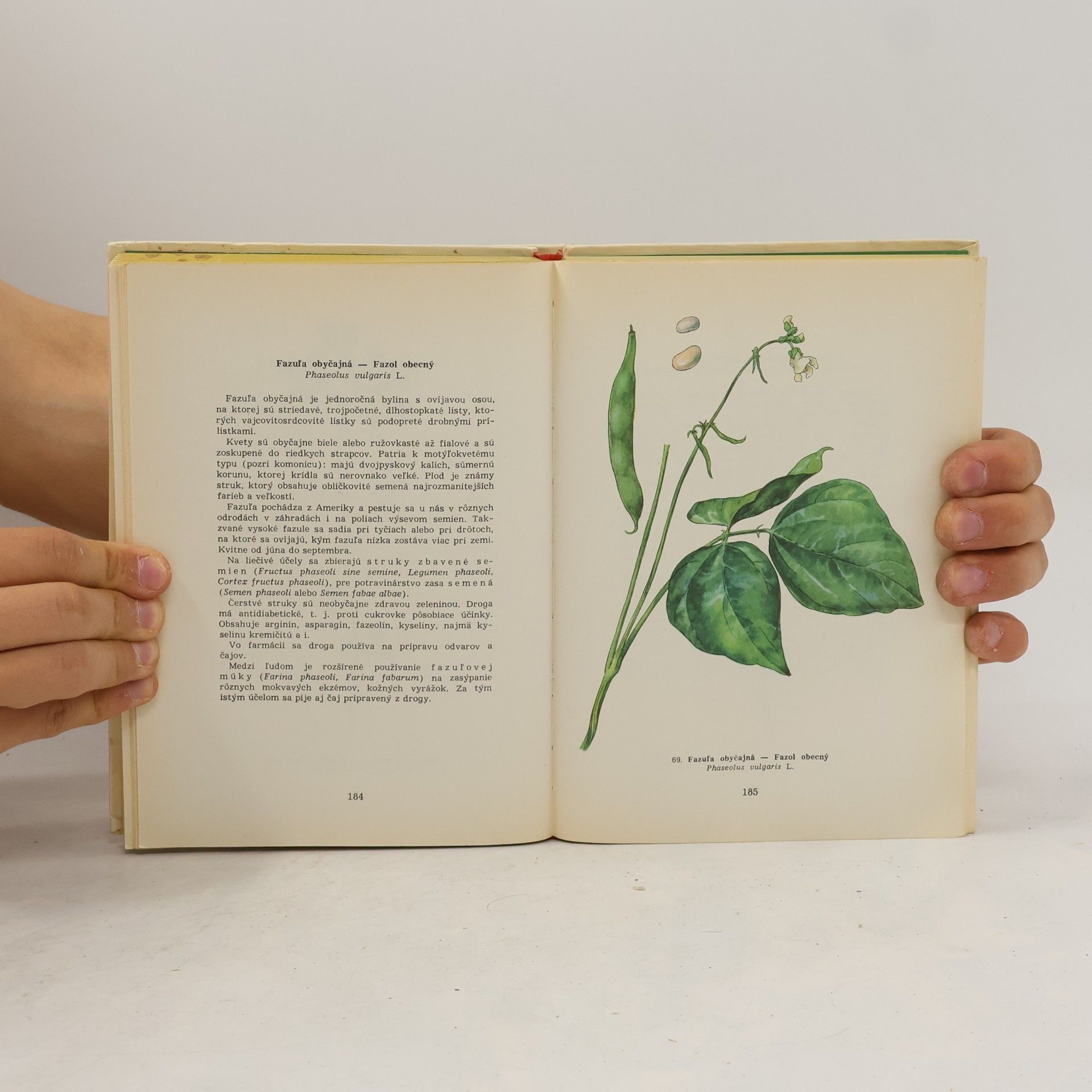 Jan Macků Atlas liečivych rastlín