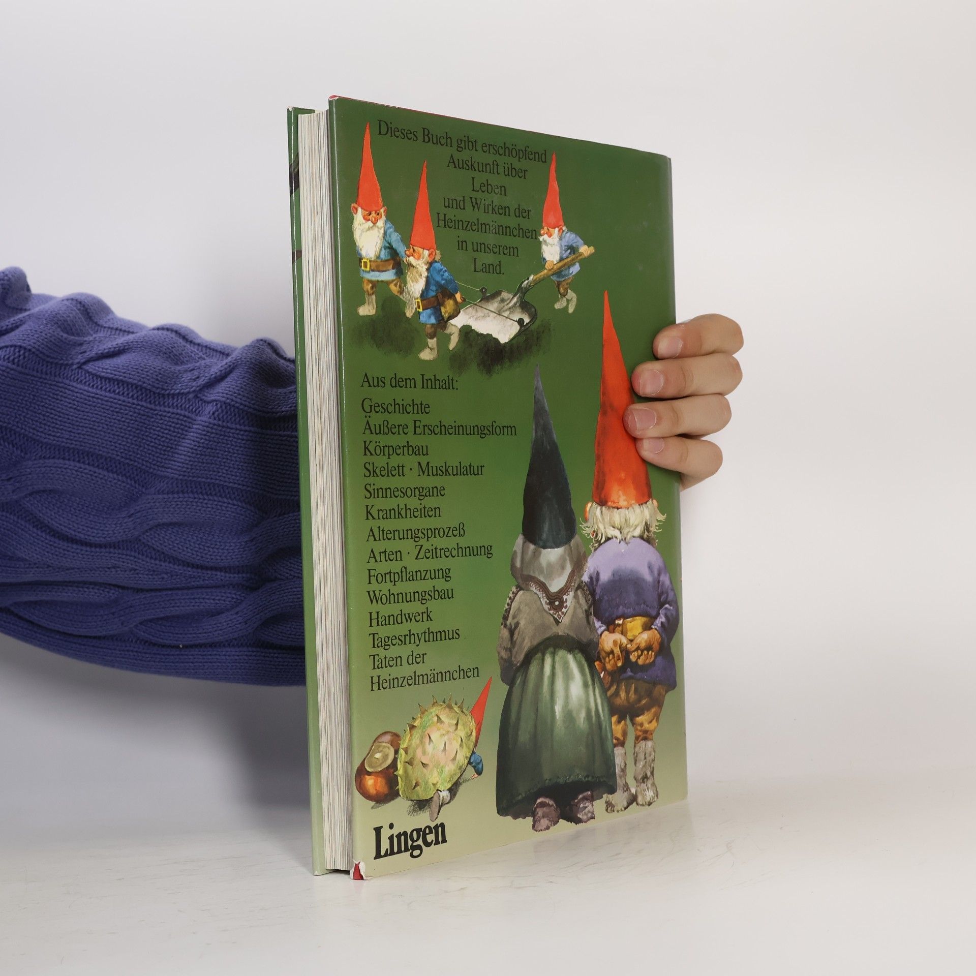 Various authors Das große Buch der Heinzel-männchen