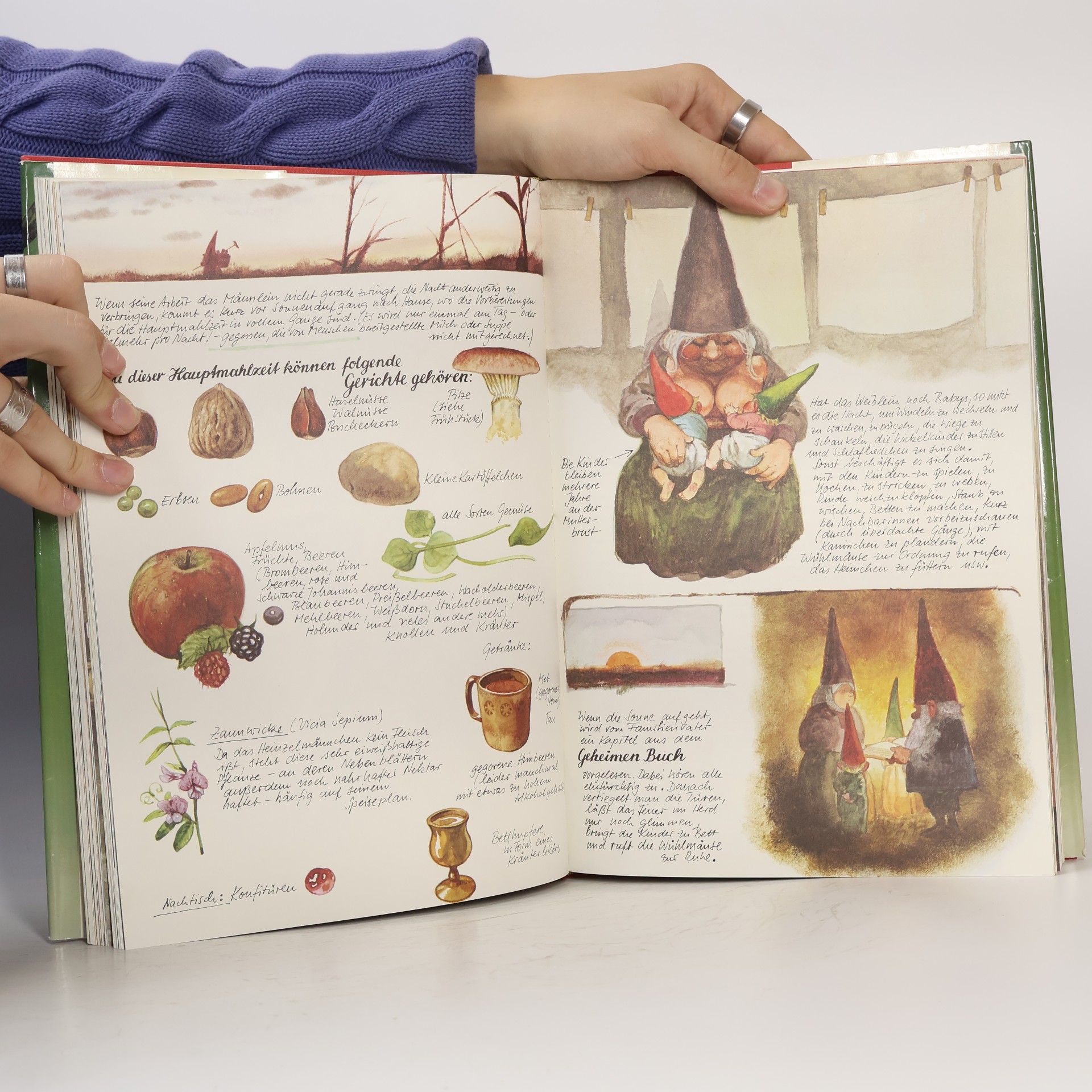 Various authors Das große Buch der Heinzel-männchen