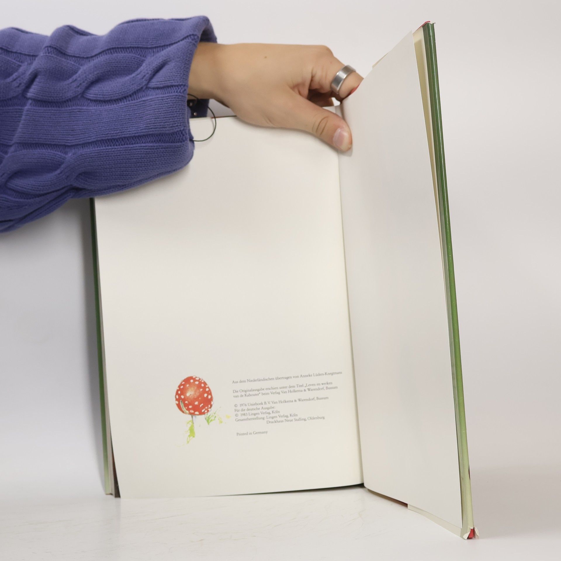 Various authors Das große Buch der Heinzel-männchen