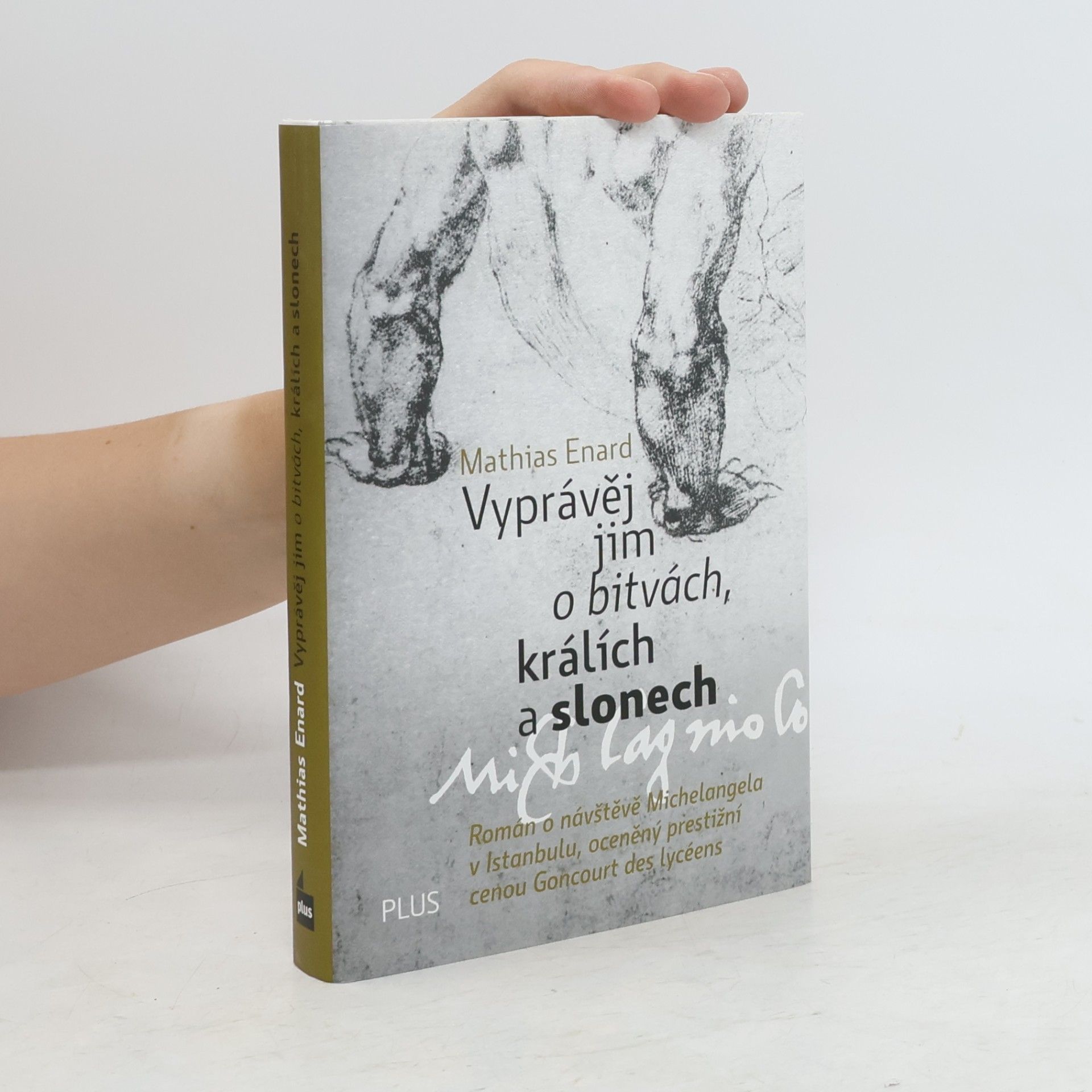 Mathias Énard Vyprávěj jim o bitvách, králích a slonech