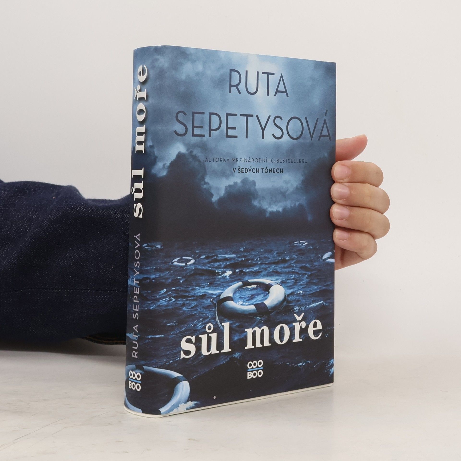 Ruta Sepetys Sůl moře
