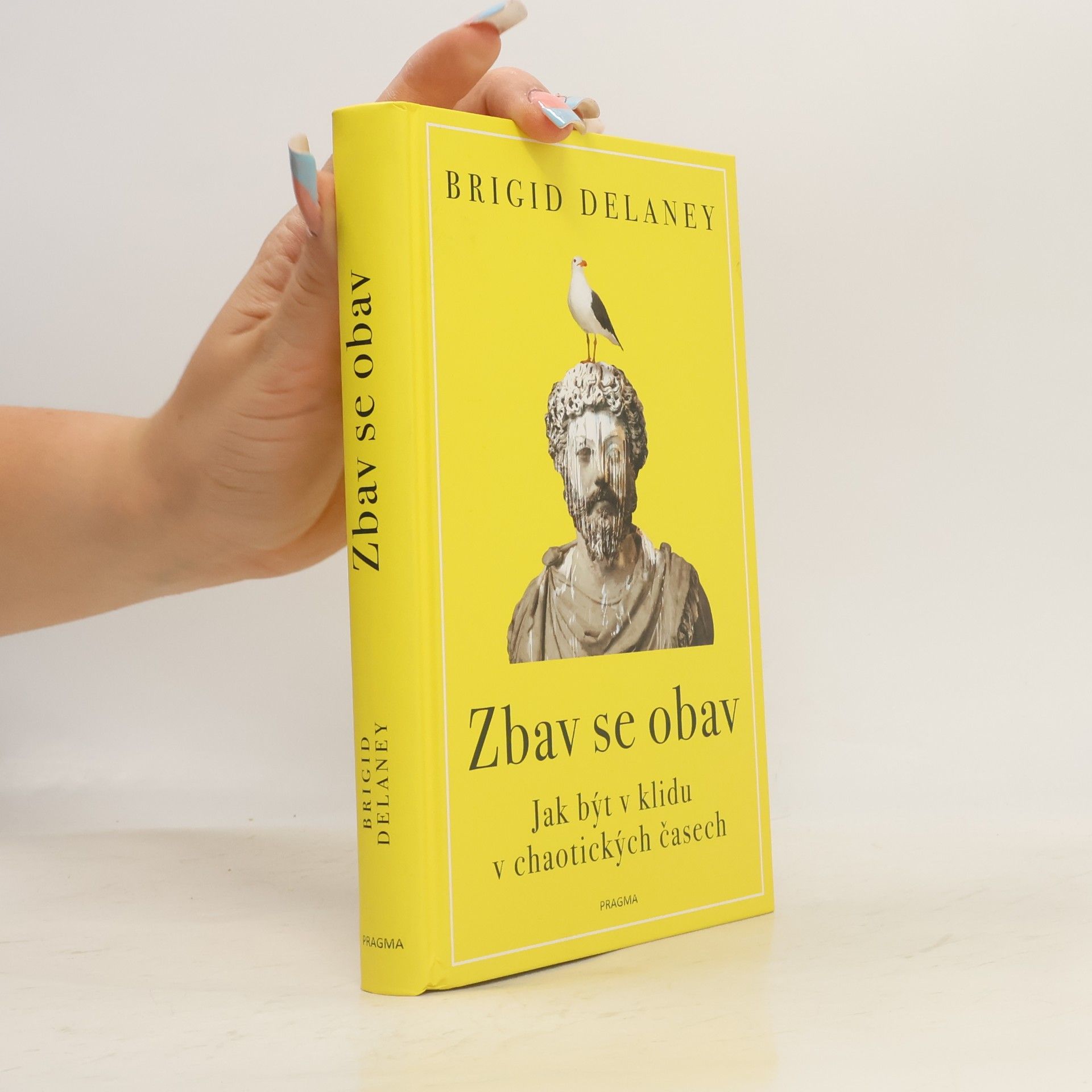 Brigid Delaney Zbav se obav. Jak být v klidu v chaotických časech