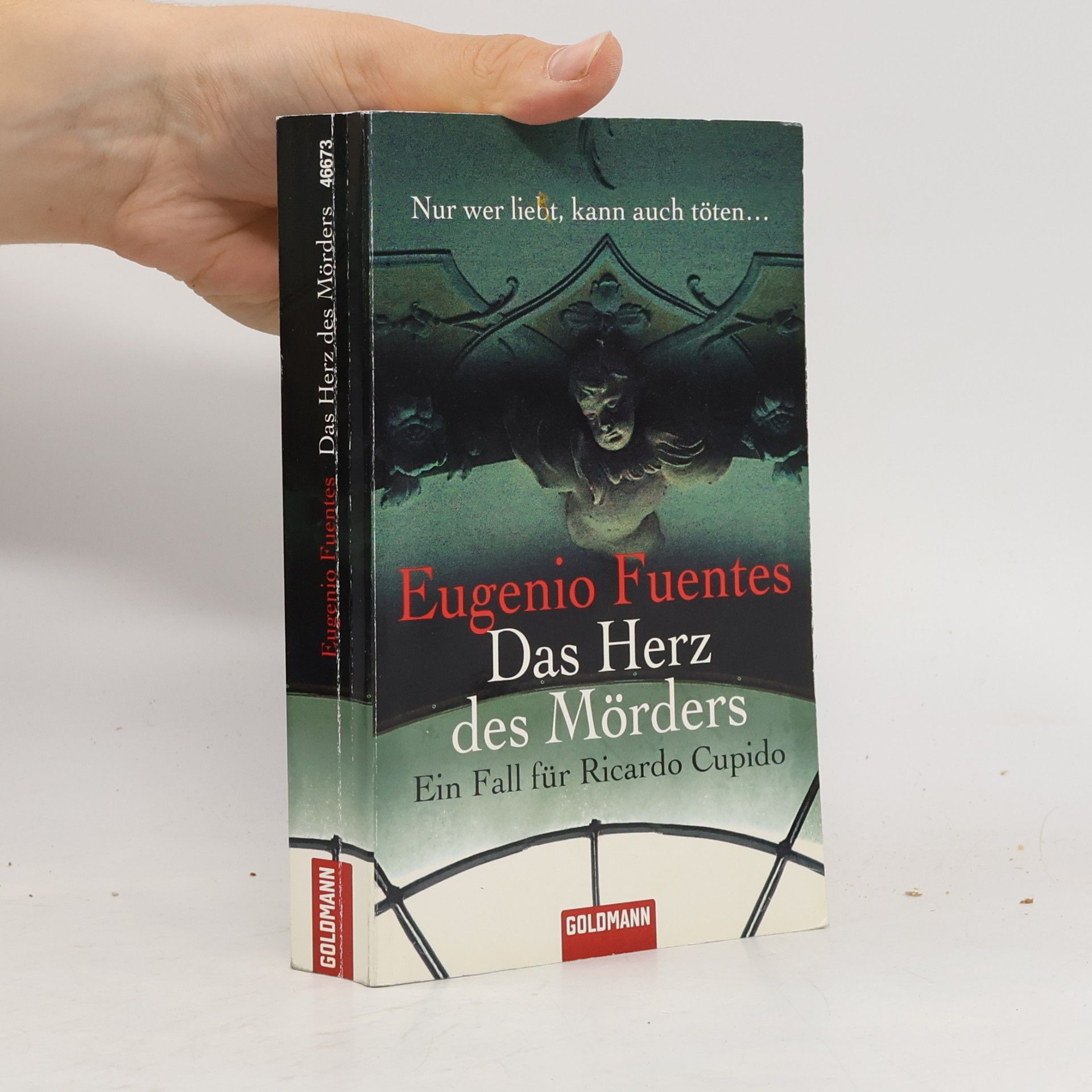 Roberto de Hollanda Das Herz des Mörders. Ein Fall für Ricardo Cupido