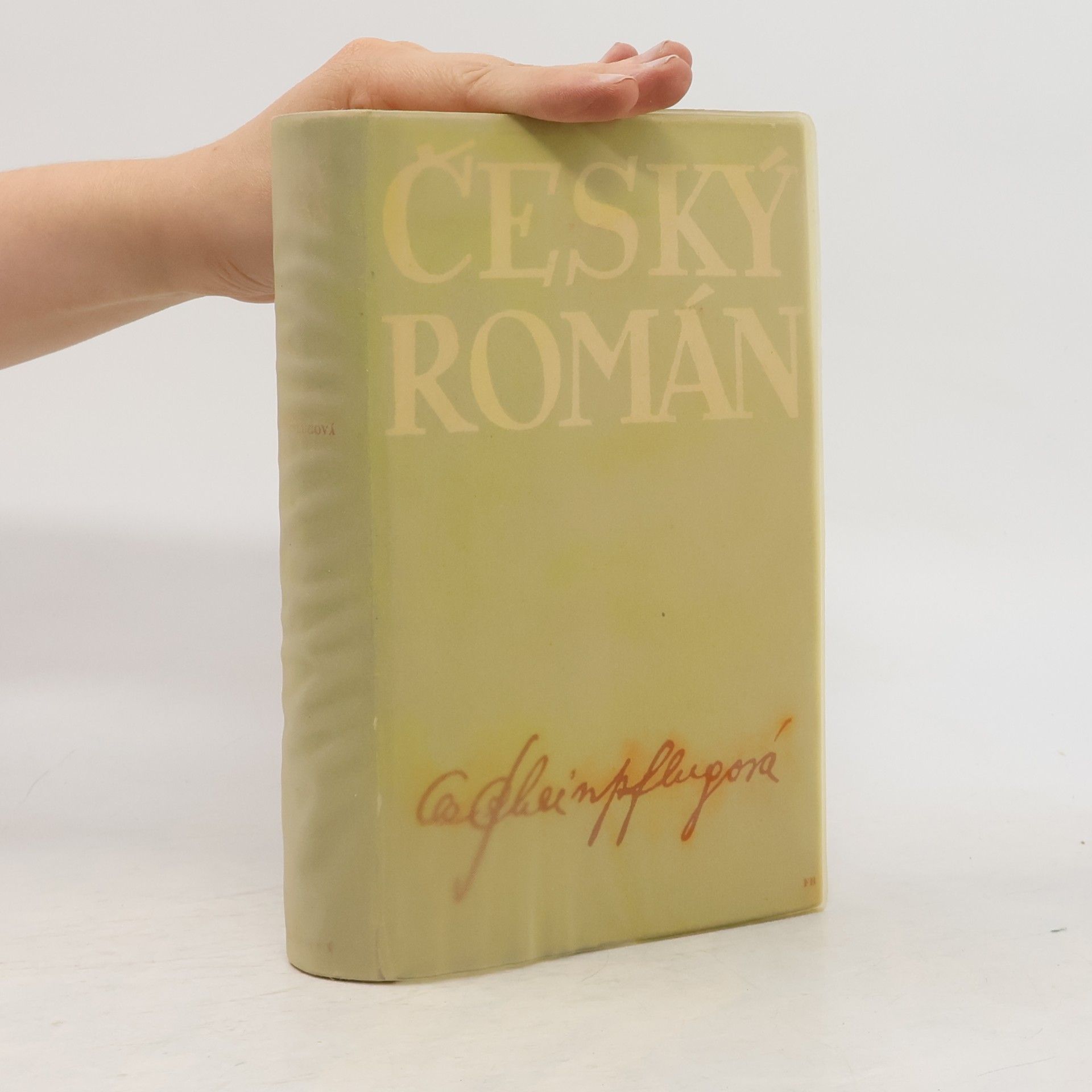 Olga Scheinpflugová Český román