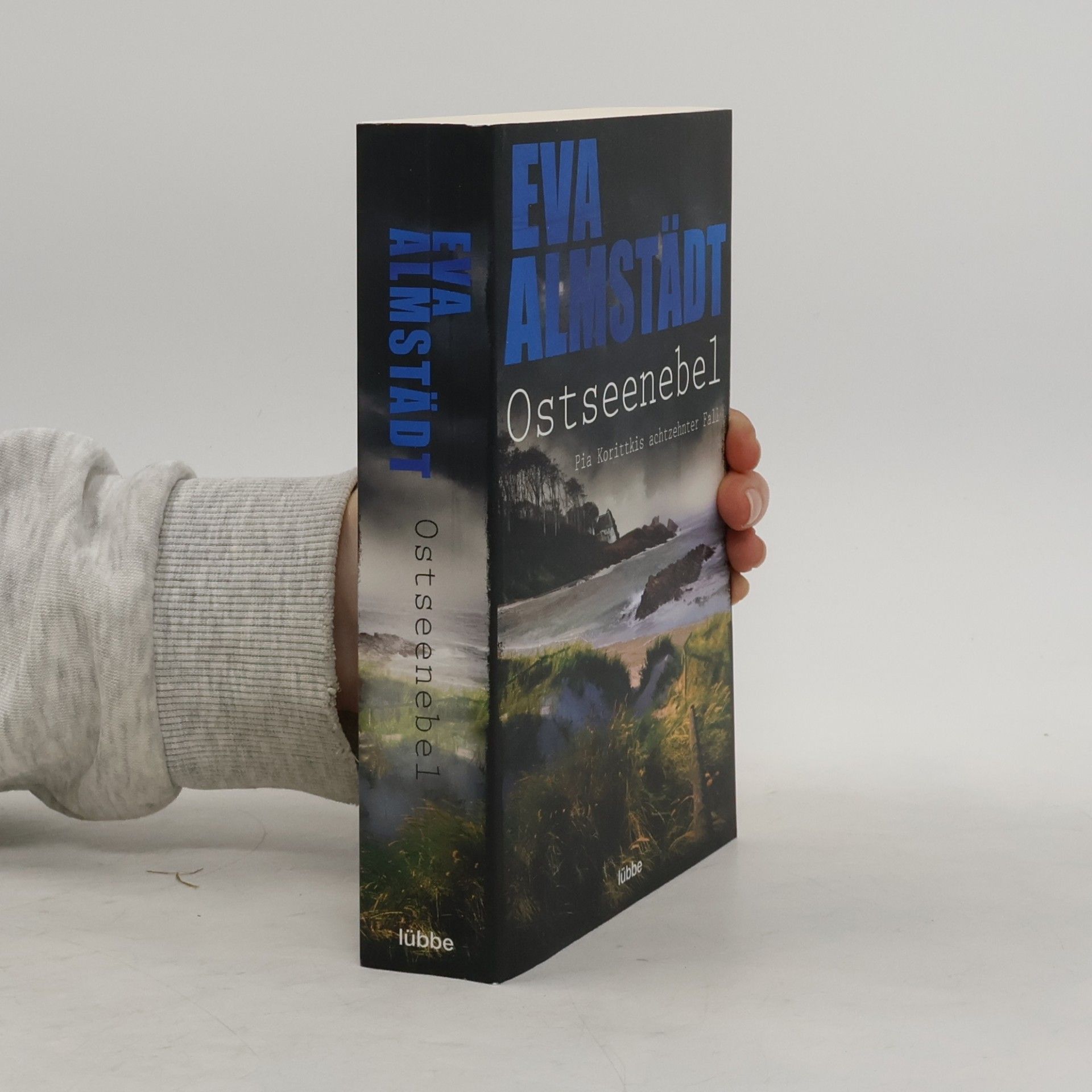 Eva Almstadt Ostseenebel