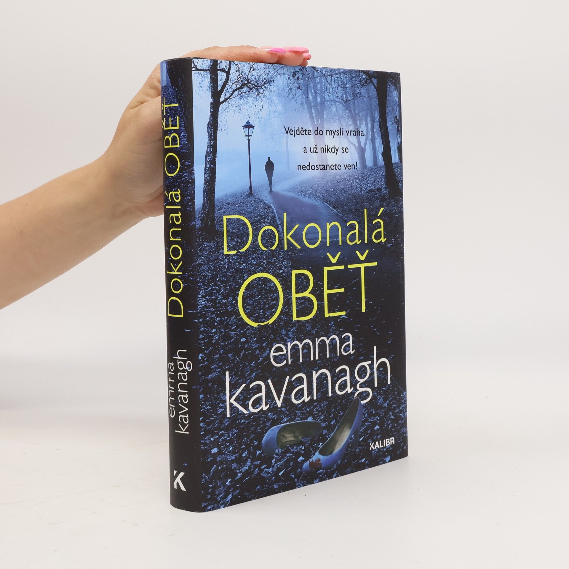 Emma Kavanagh Dokonalá oběť