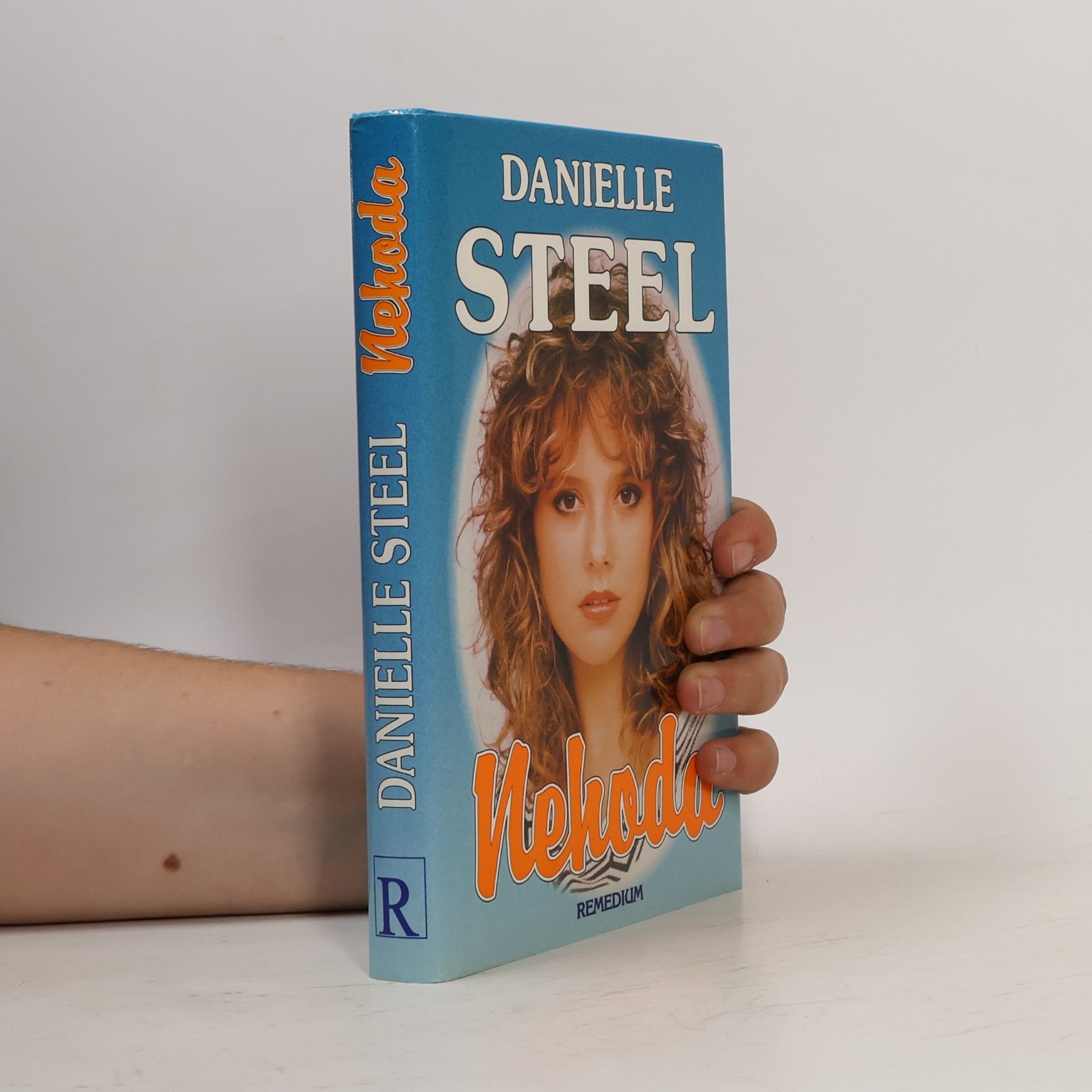 Danielle Steel Nehoda