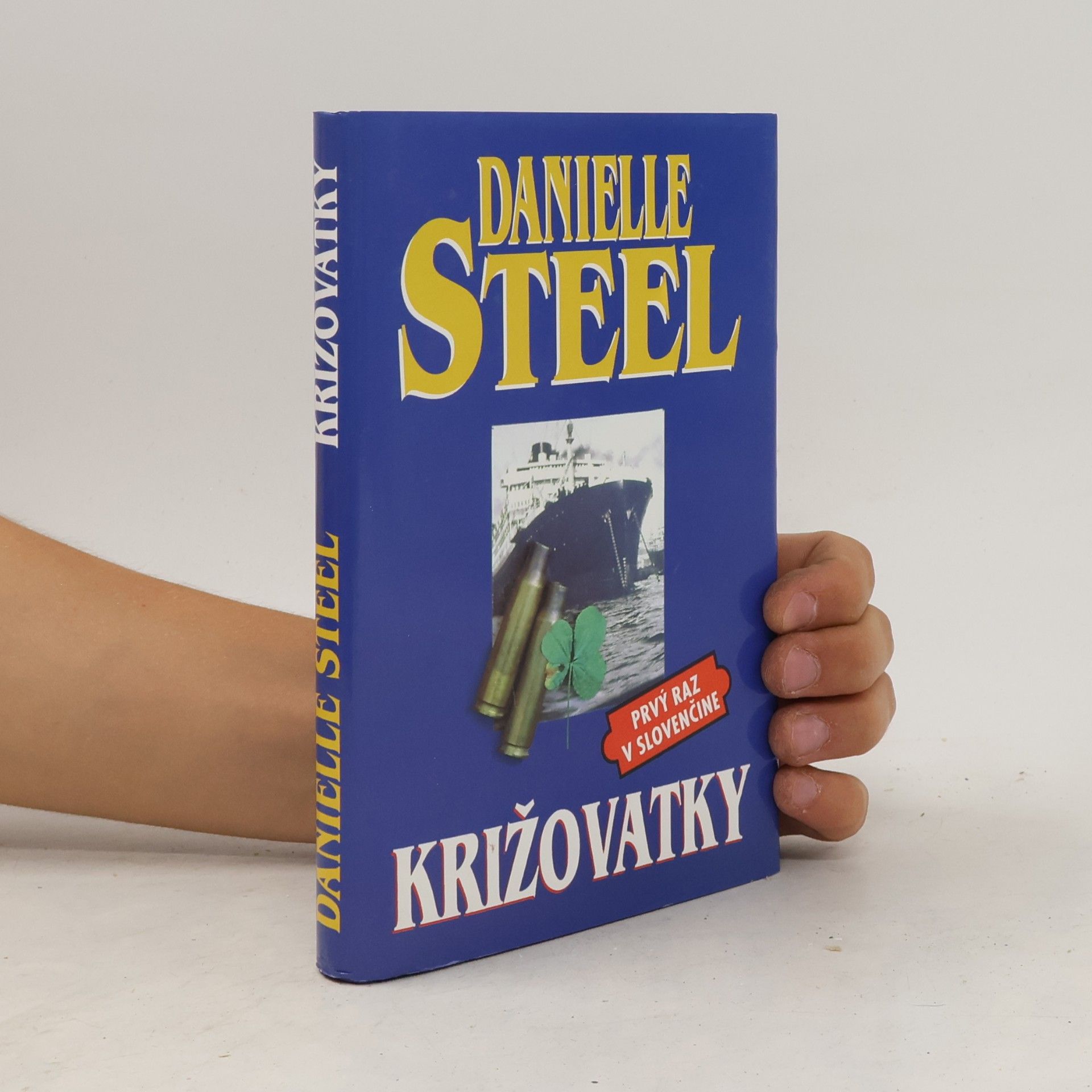 Danielle Steel Križovatky