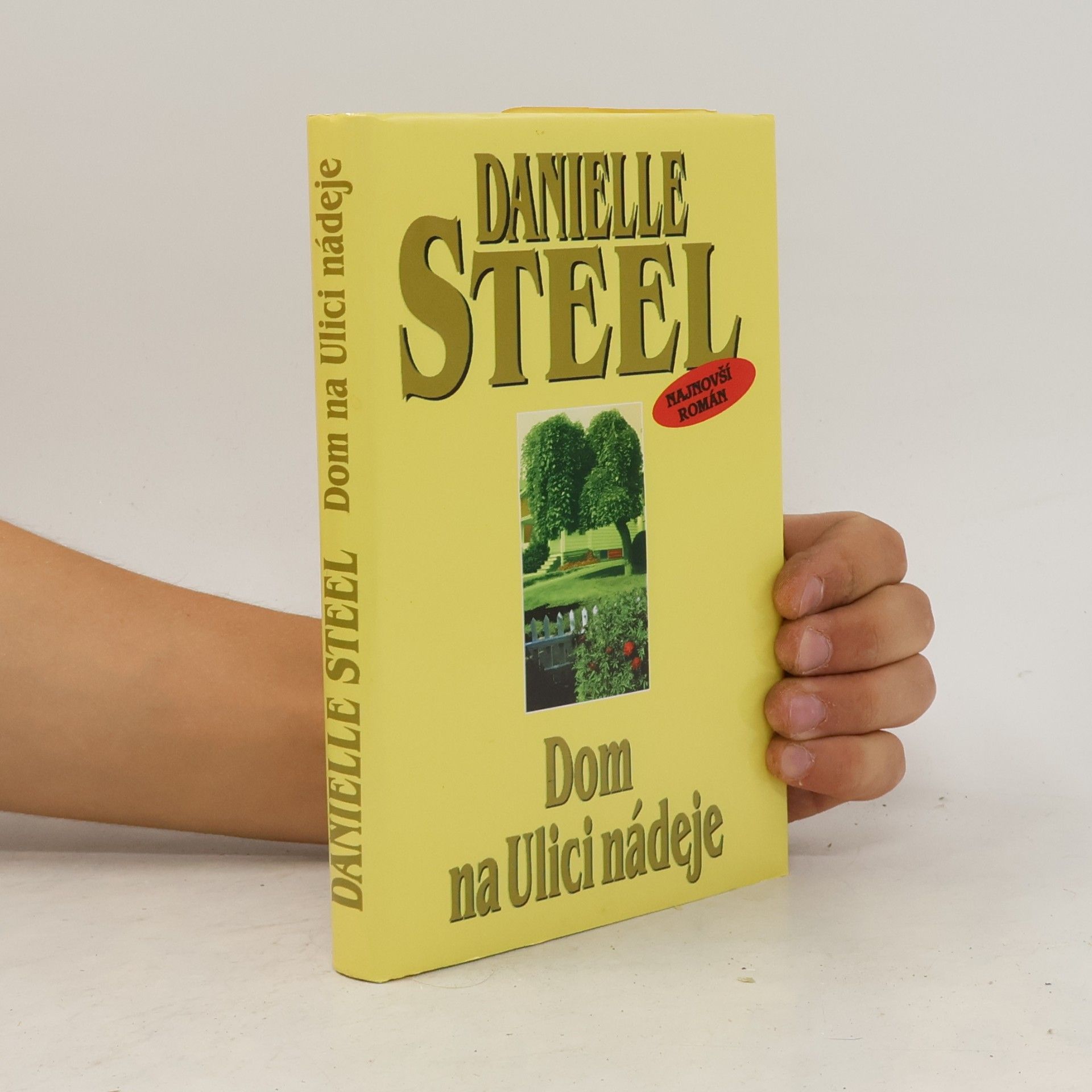 Danielle Steelová Dom na Ulici nádeje