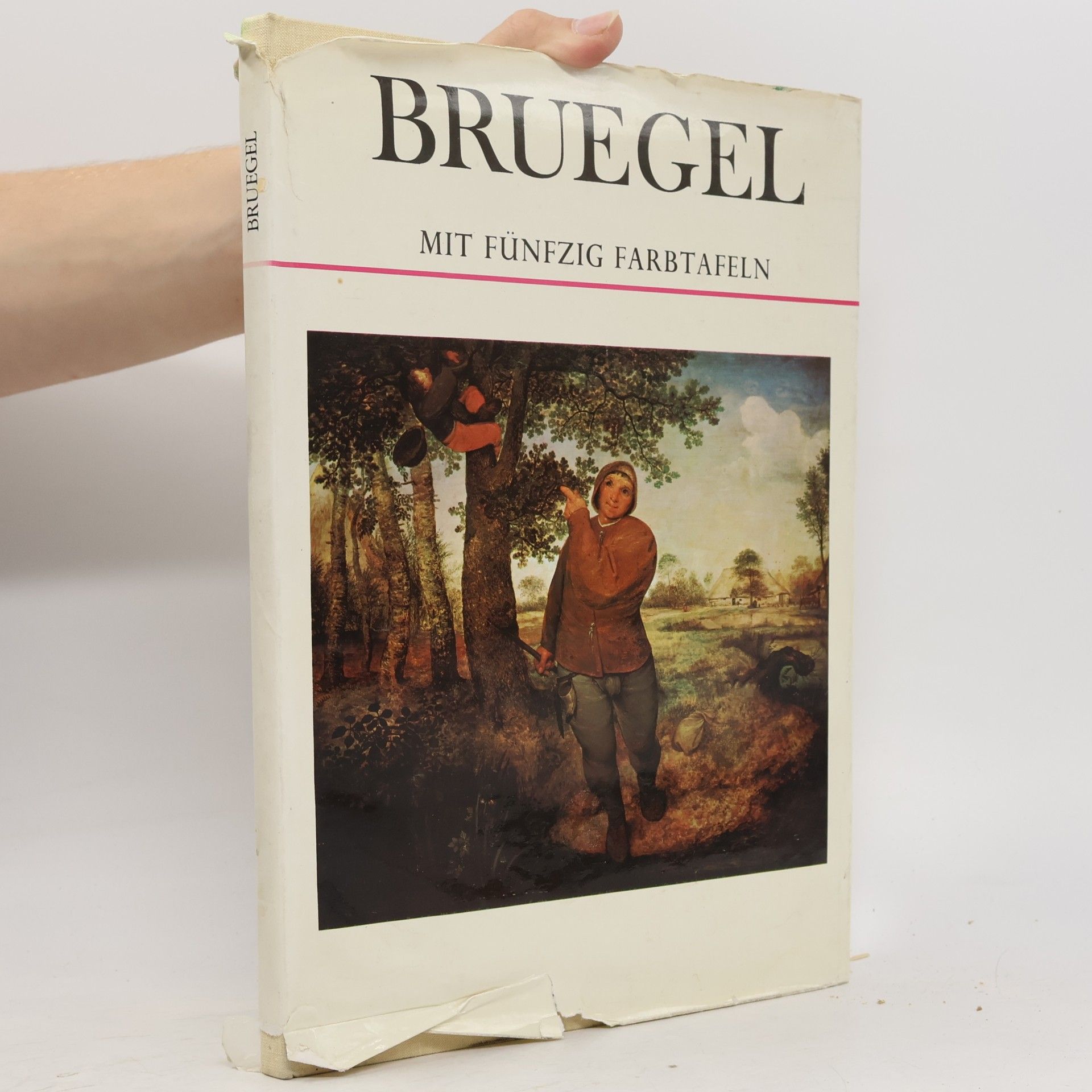 Keith Roberts Bruegel mit fünfzig Farbtafeln