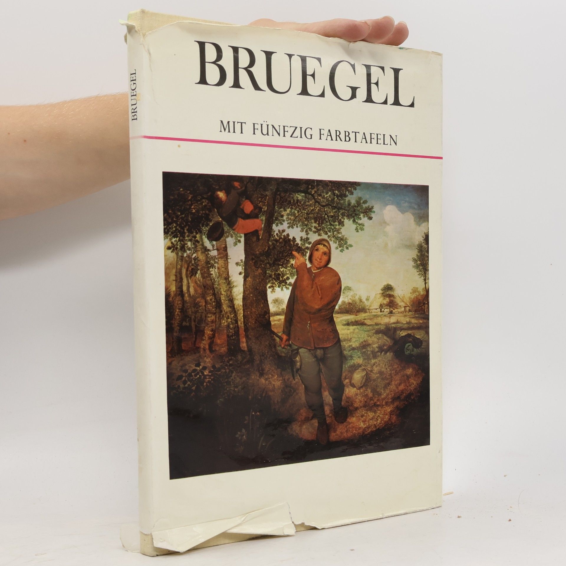 Keith Roberts Bruegel mit fünfzig Farbtafeln
