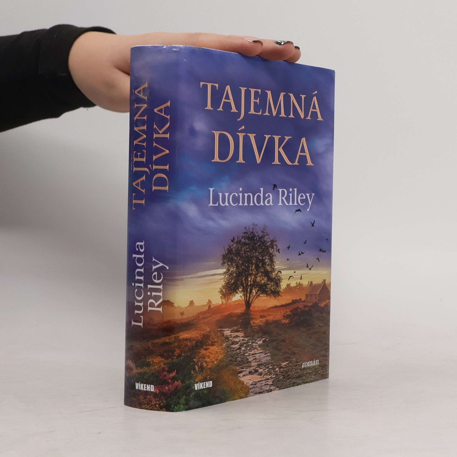 Lucinda Riley Tajemná dívka