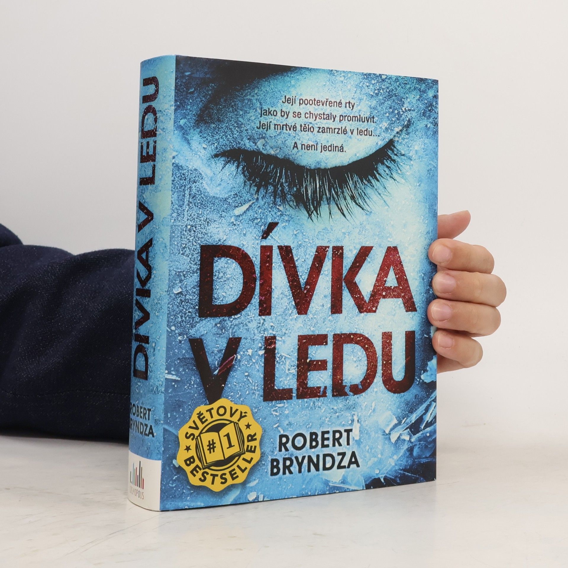 Robert Bryndza Dívka v ledu