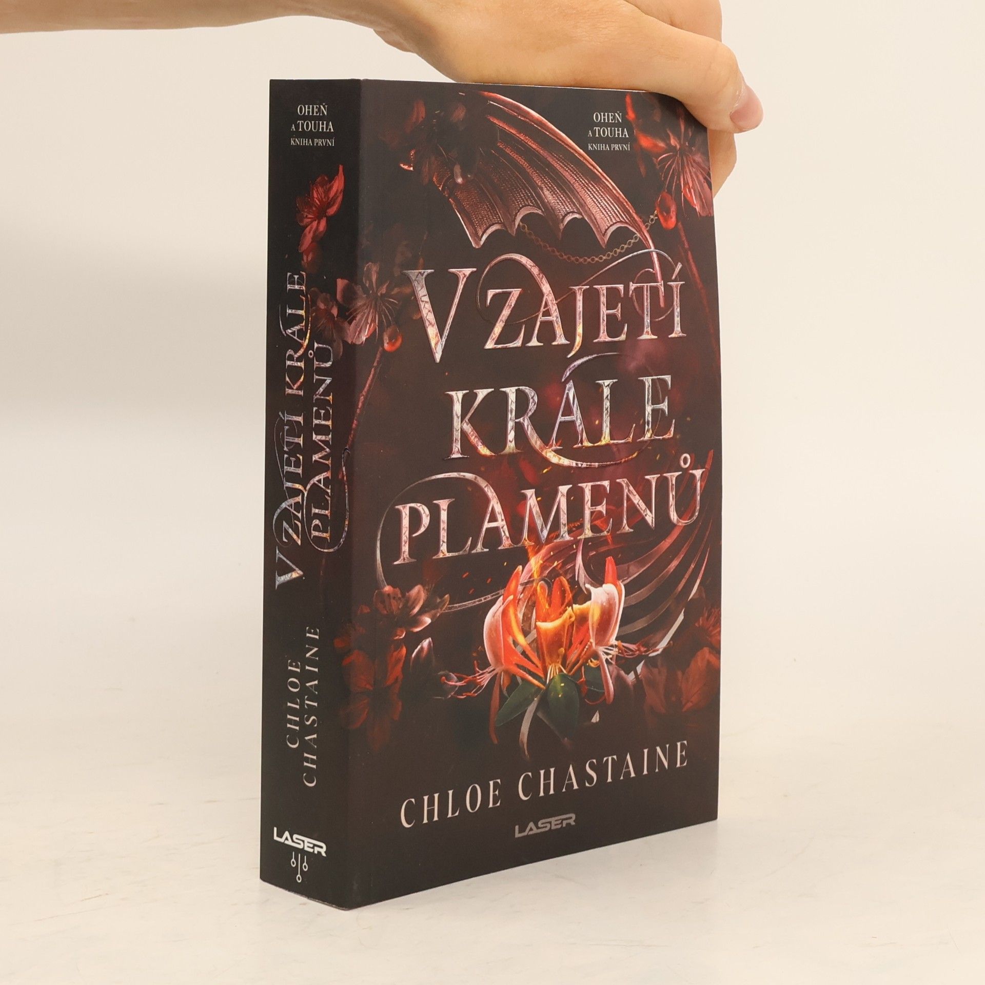 Chloe Chastaine V zajetí krále plamenů
