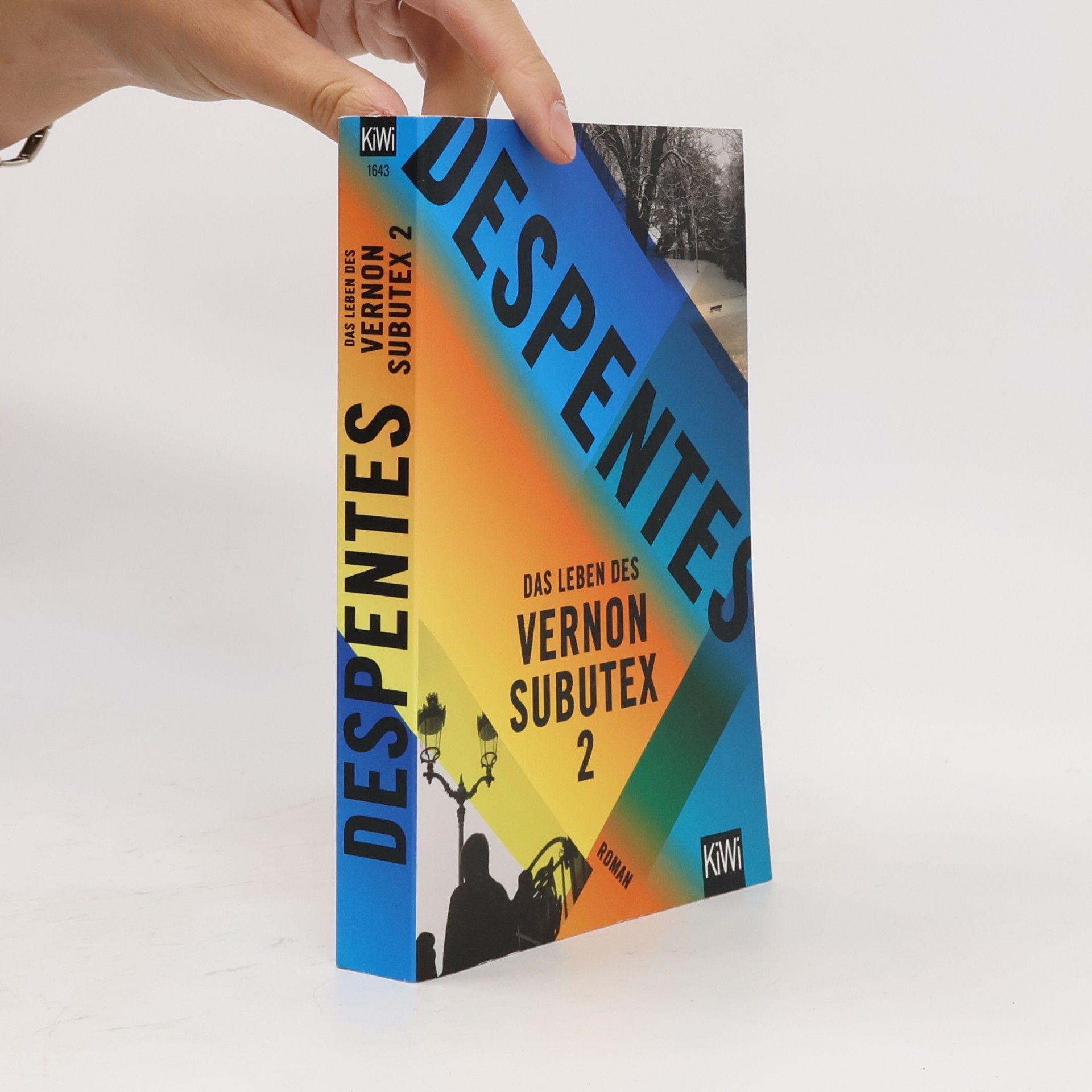 Virginie Despentes Das Leben des Vernon Subutex 2