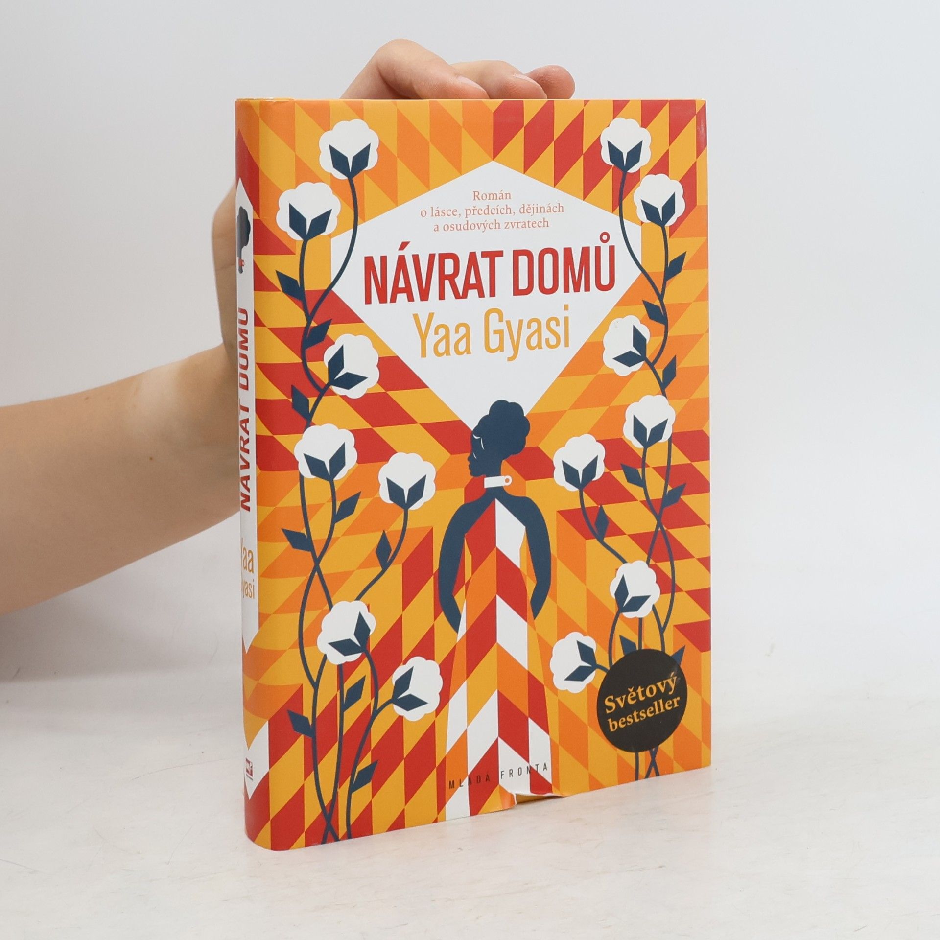 Yaa Gyasi Návrat domů