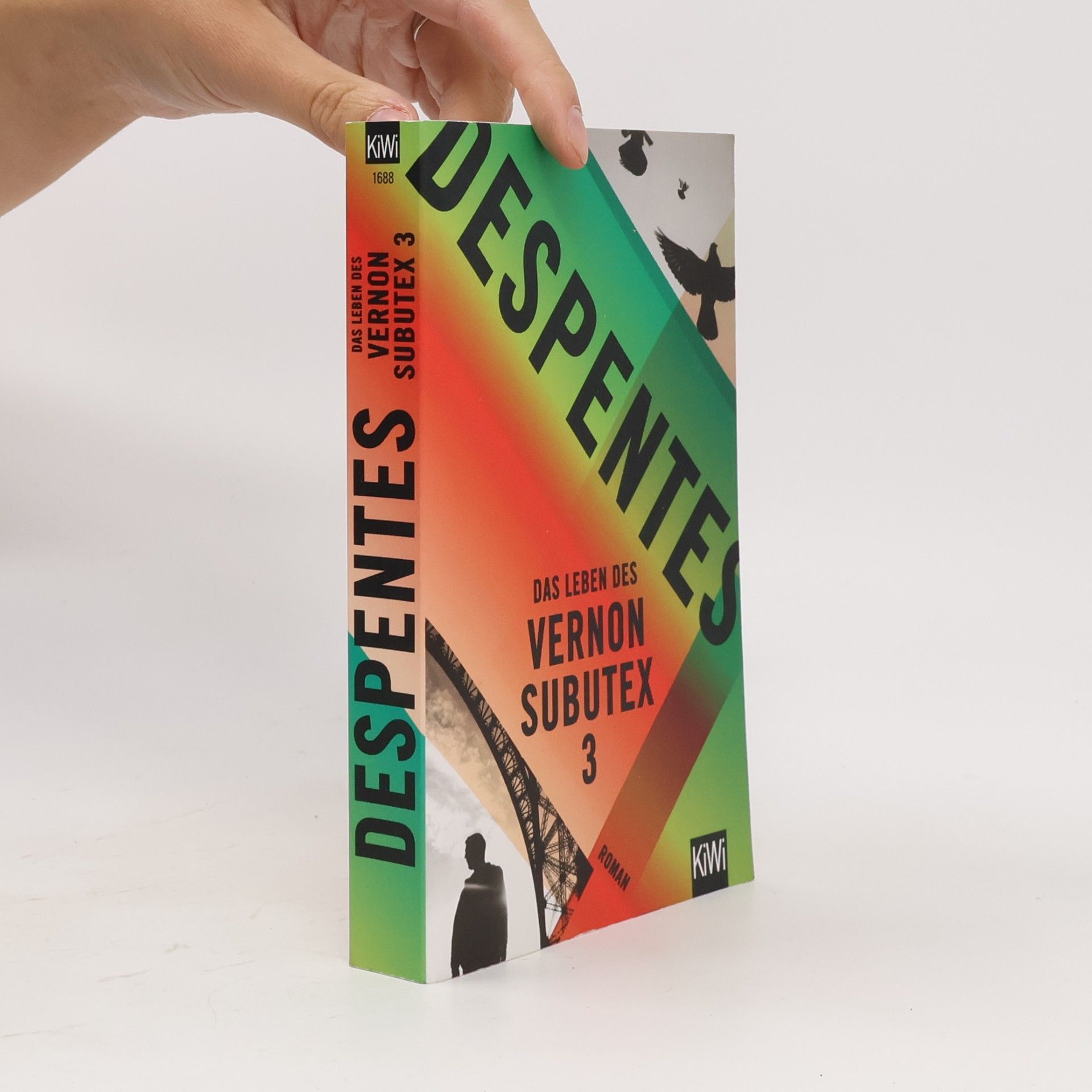 Virginie Despentes Das Leben des Vernon Subutex 3