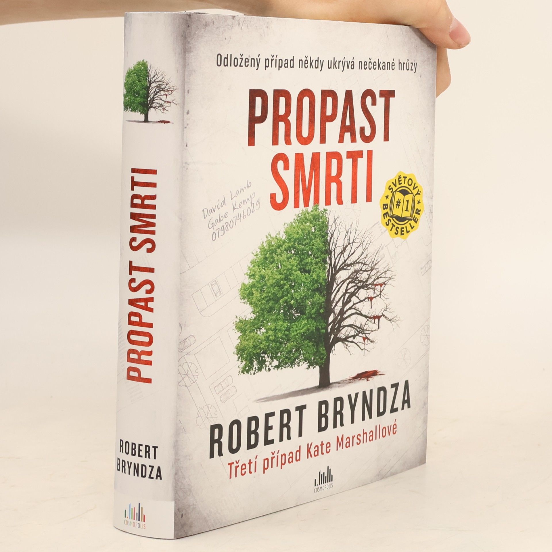 Robert Bryndza Propast smrti