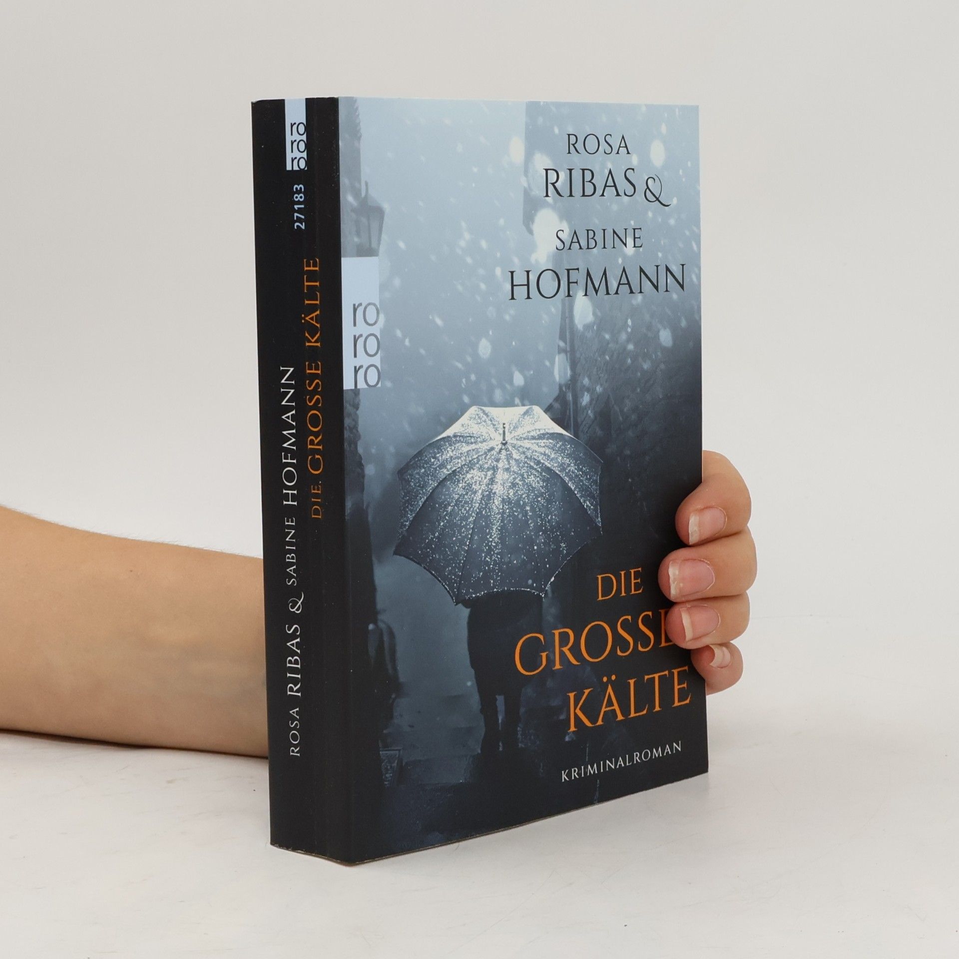 Rosa Ribas Die große Kälte