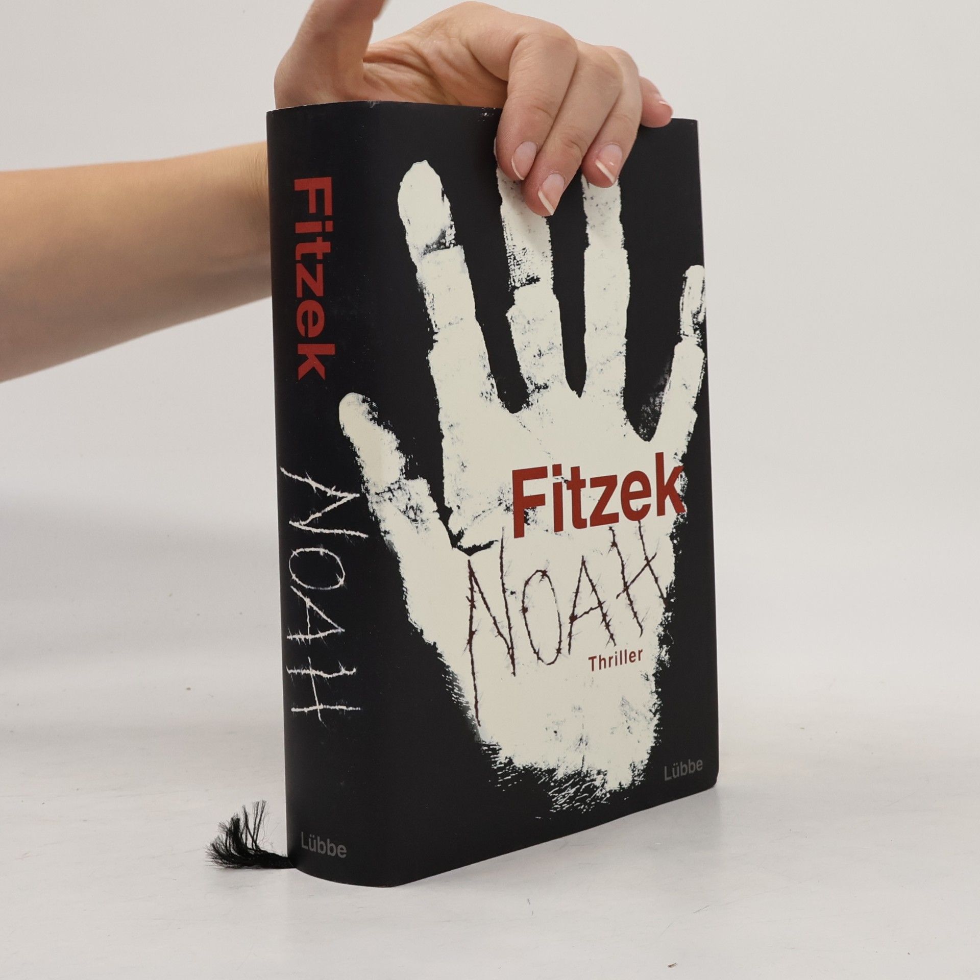 Sebastian Fitzek Noah