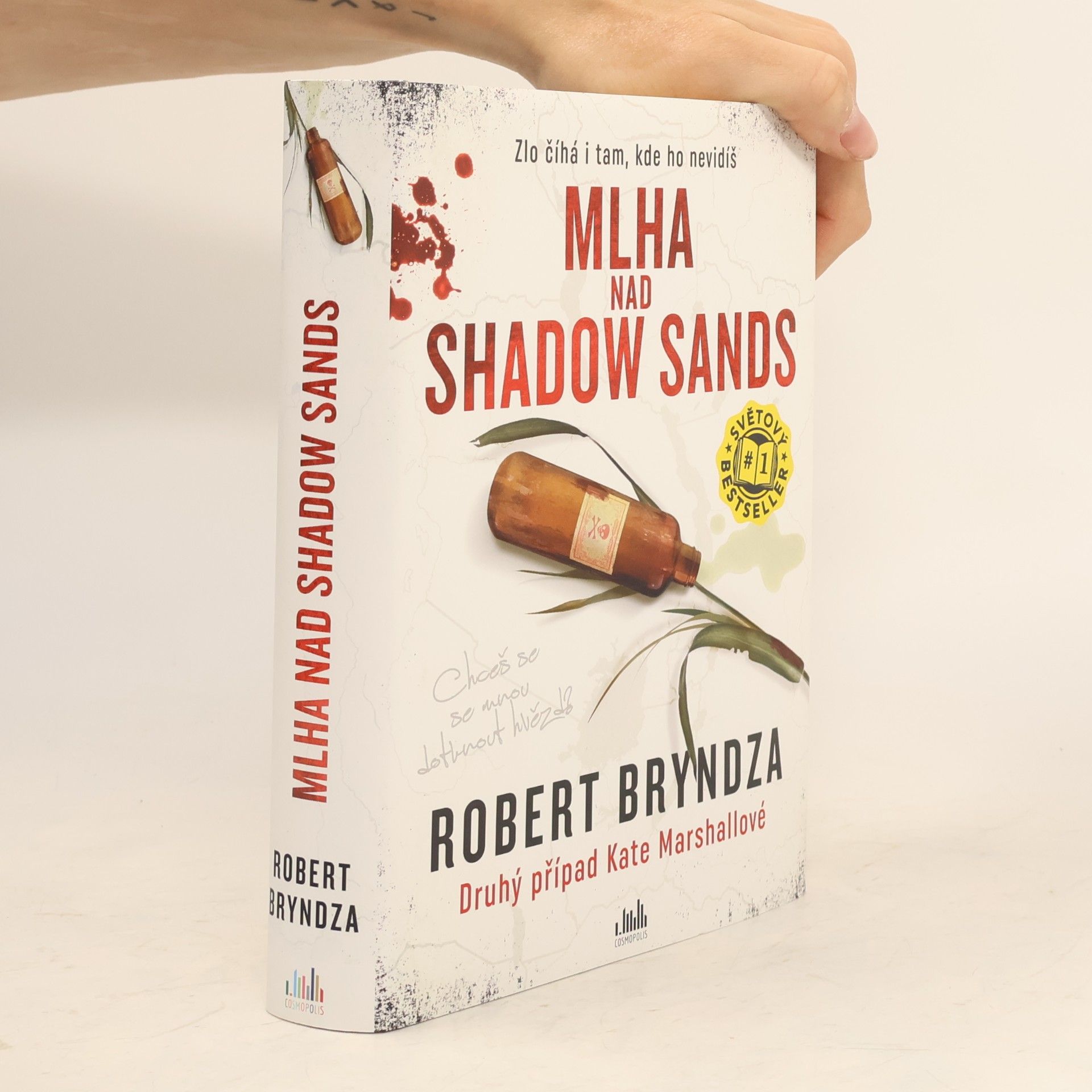 Robert Bryndza Mlha nad Shadow Sands