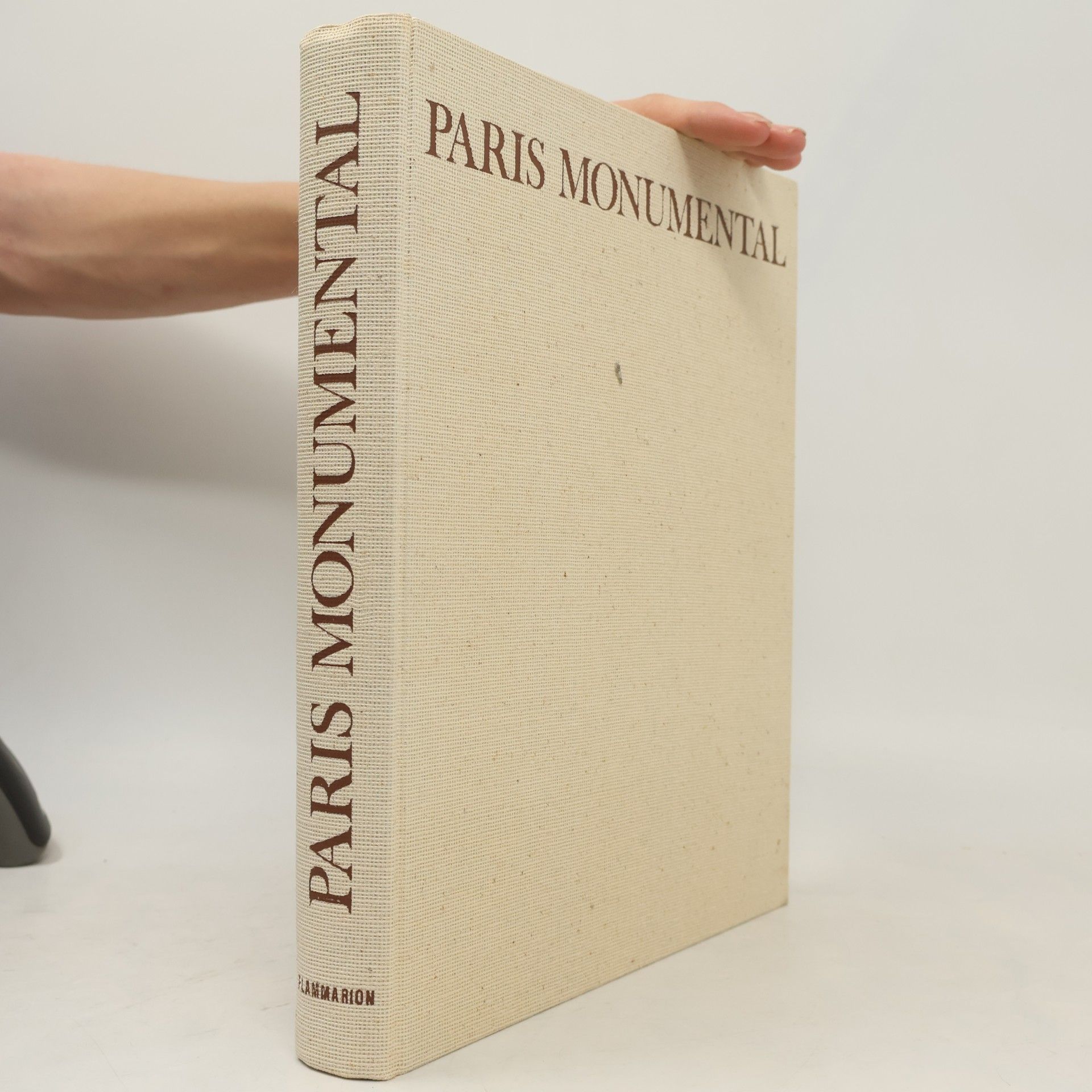 Alain Erlande-Brandenburg Paris Monumental