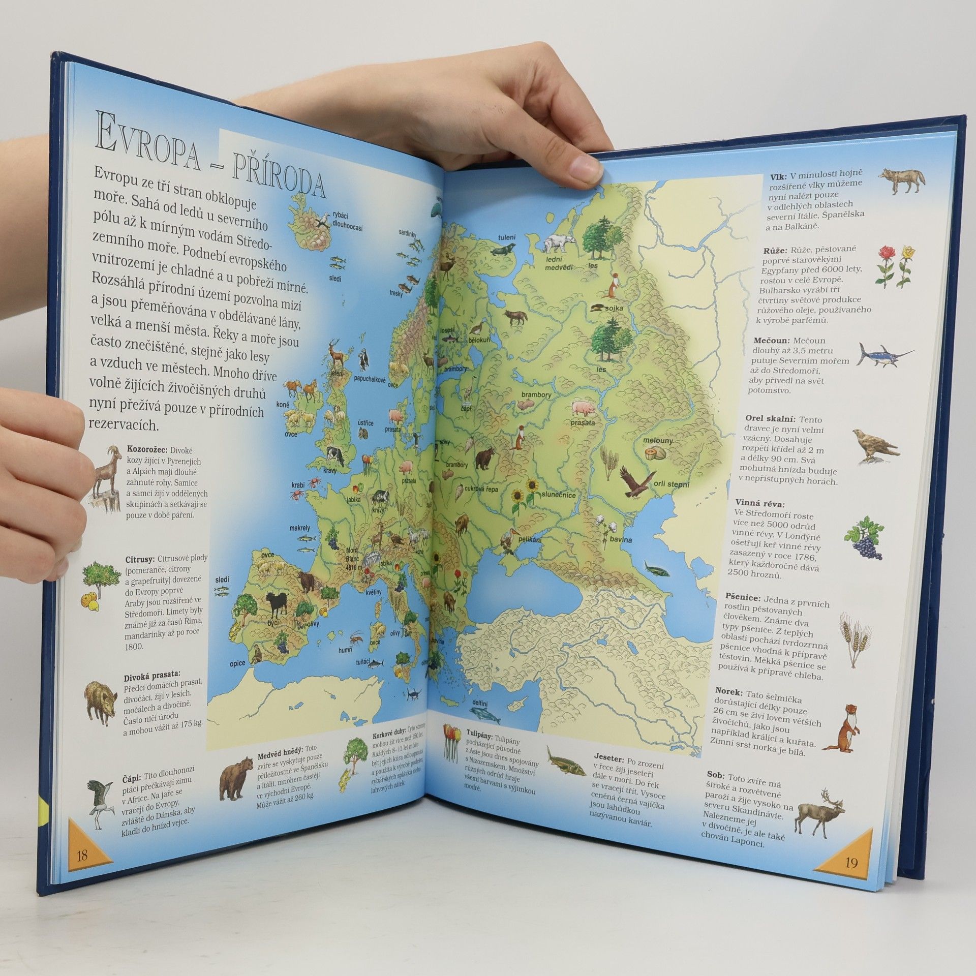 Silvia Bertolazzi Můj první atlas