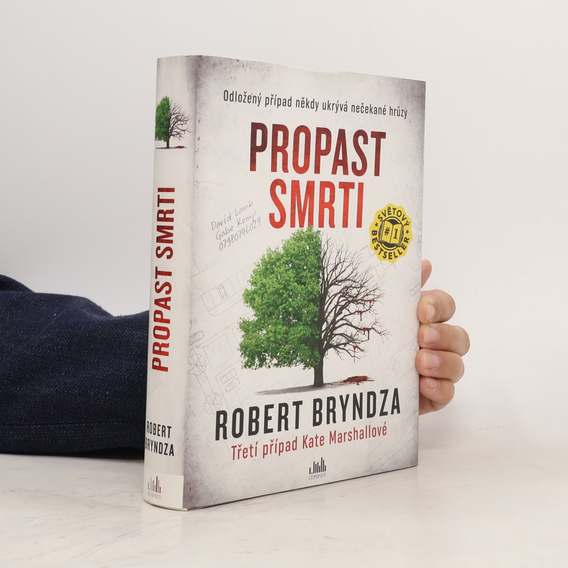 Propast smrti