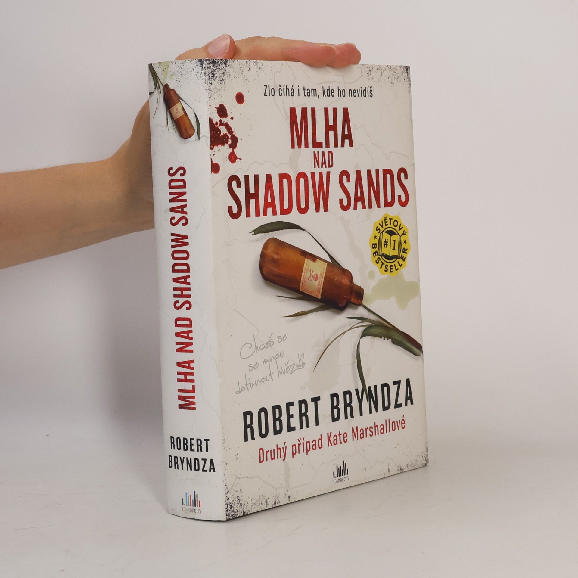 Robert Bryndza Mlha nad Shadow Sands