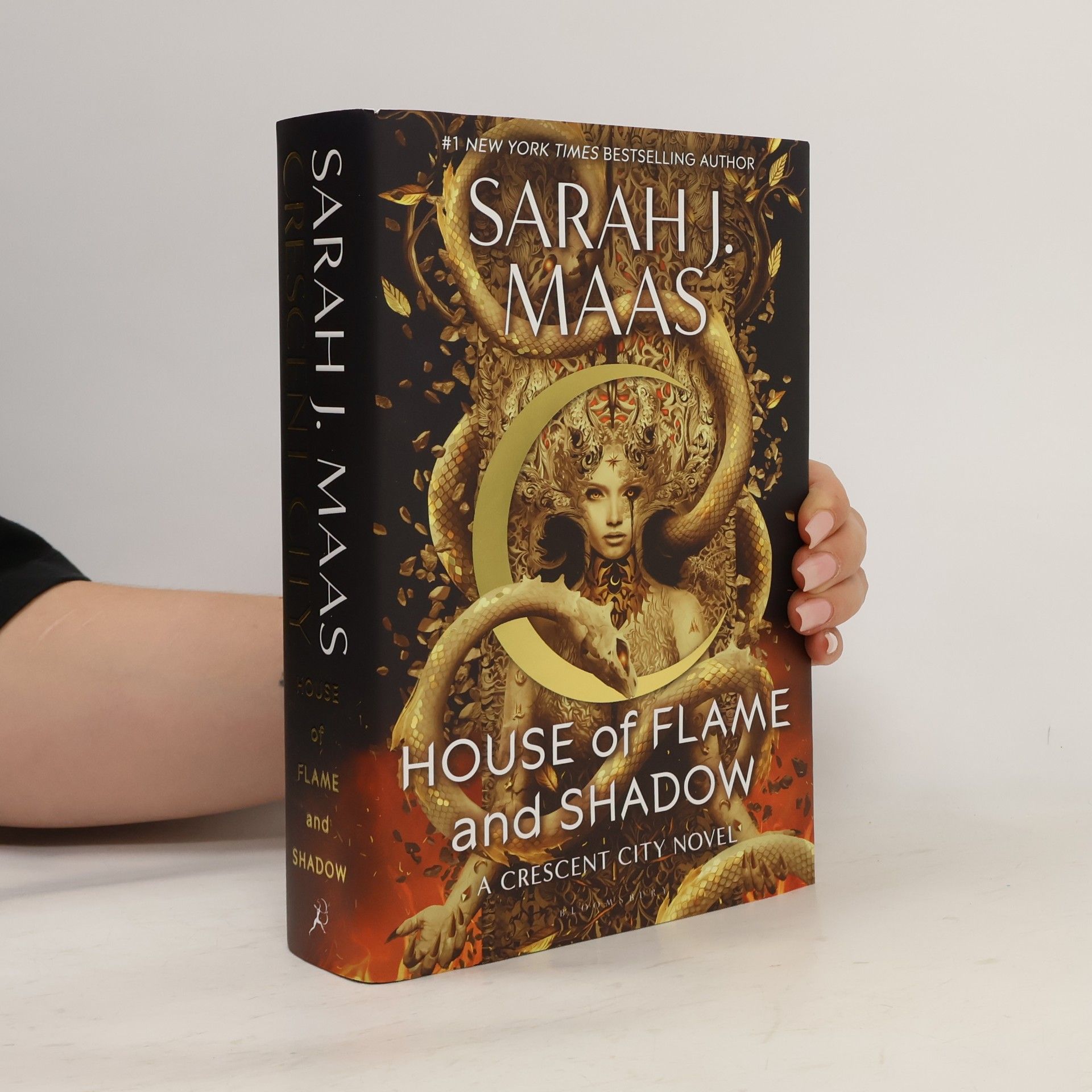 Sarah J. Maas House of Flame and Shadow