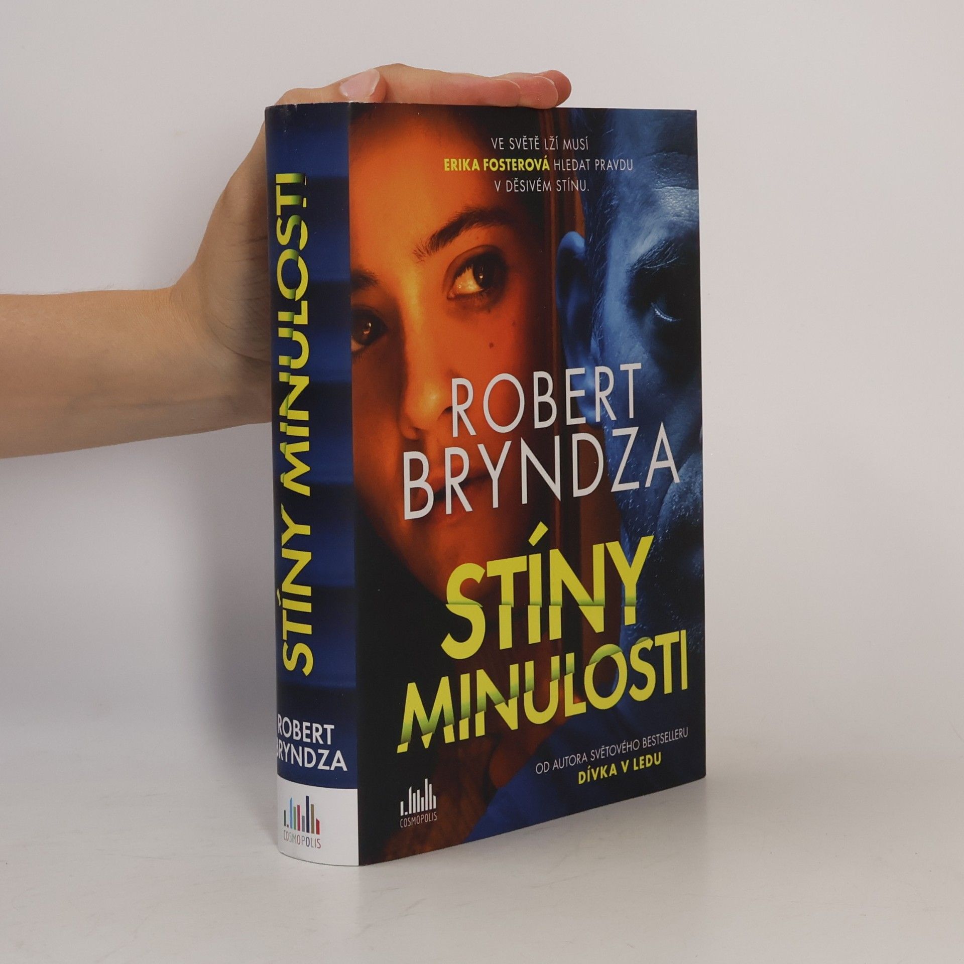 Robert Bryndza Stíny minulosti