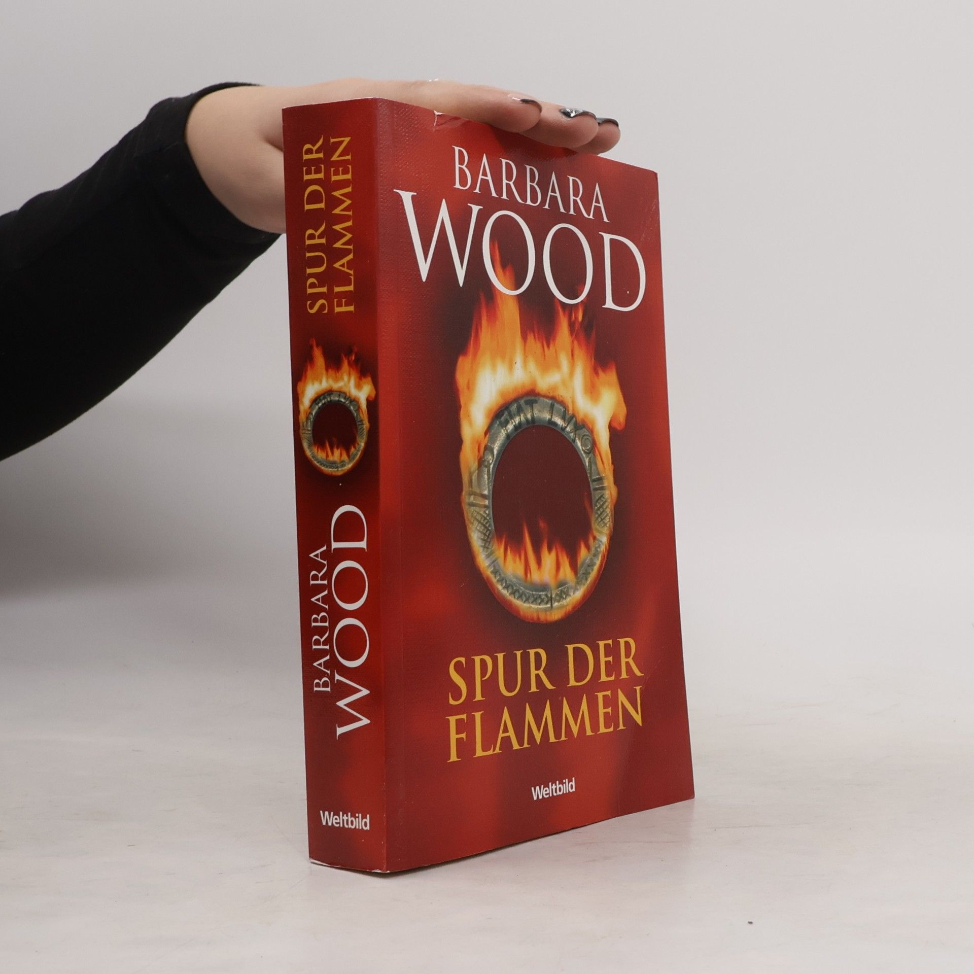Barbara Wood Spur der Flammen