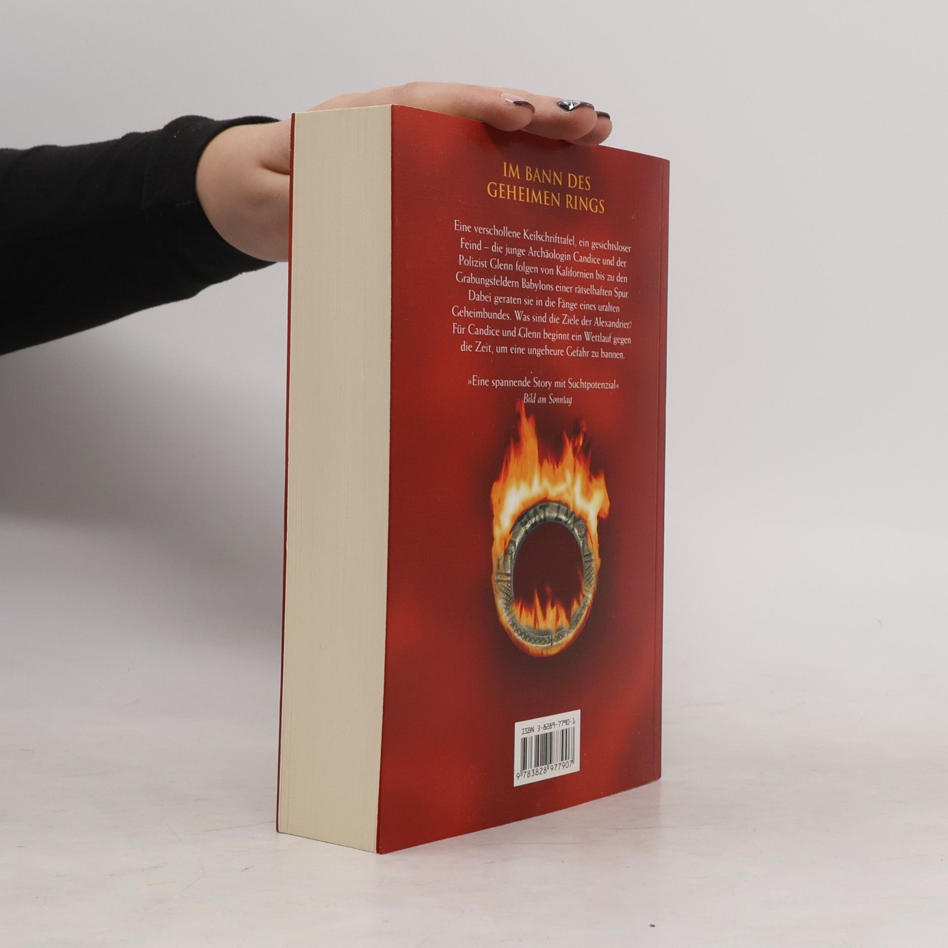 Barbara Wood Spur der Flammen