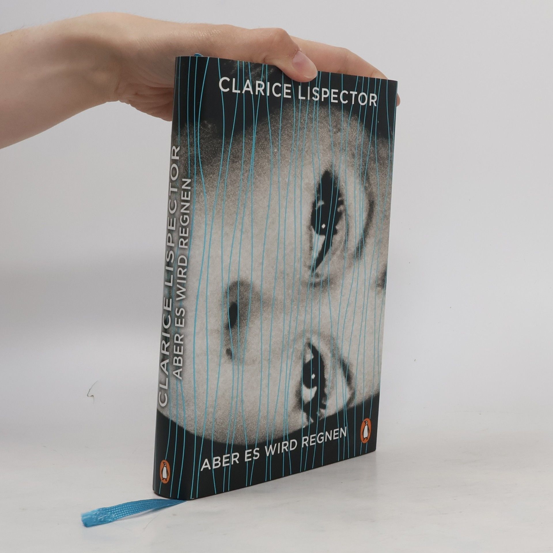 Clarice Lispector Aber es wird regnen