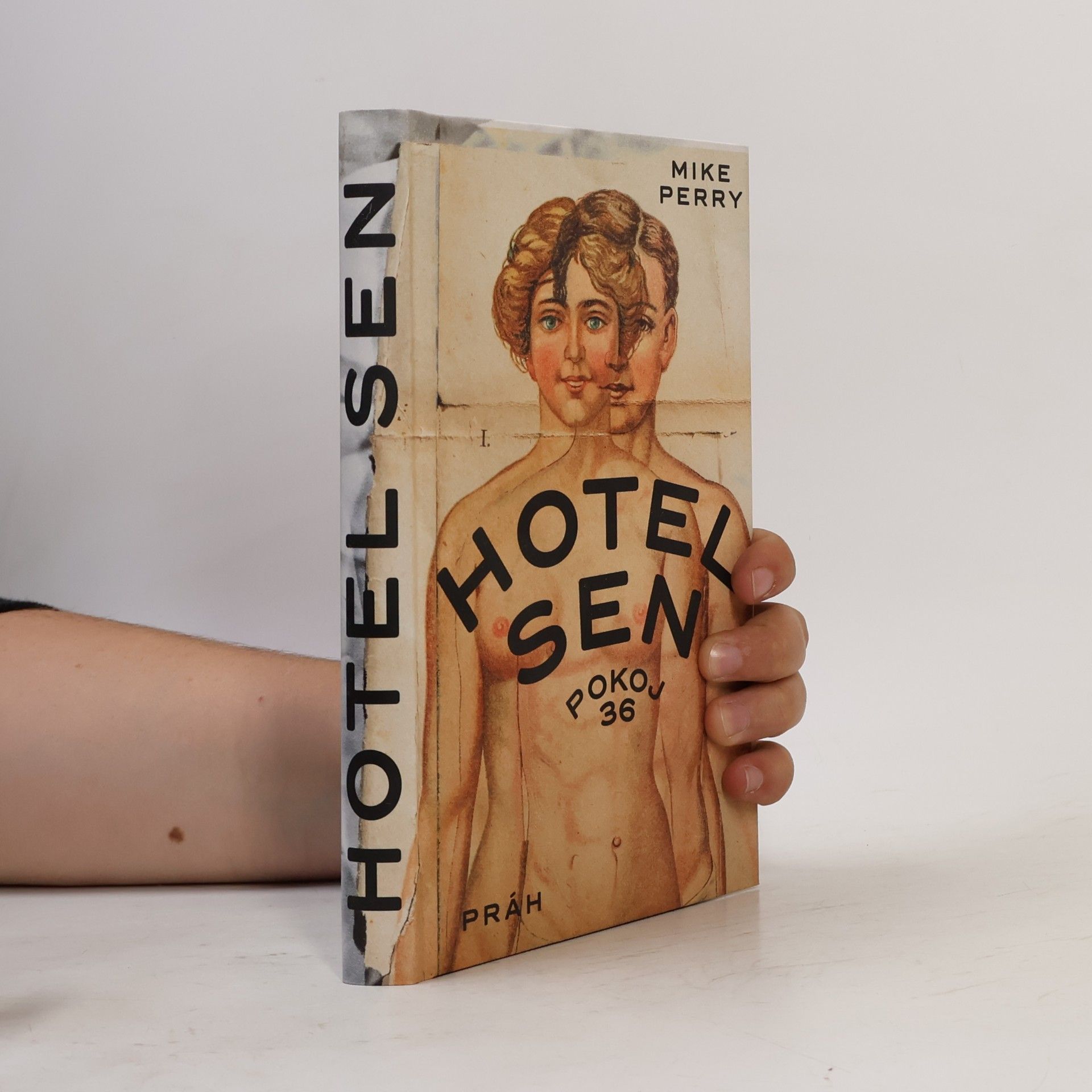 Mike Perry Hotel Sen : pokoj 36