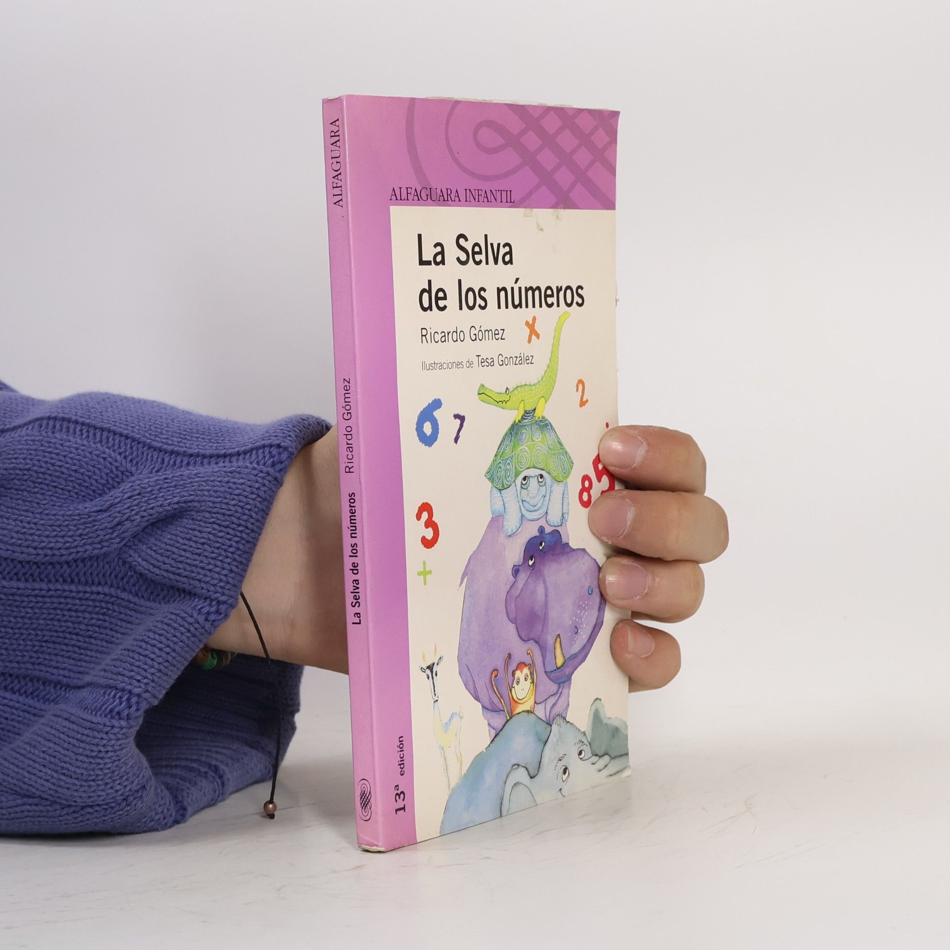 Tesa González Alfaguara Infantil: La selva de los números - 13ª edición