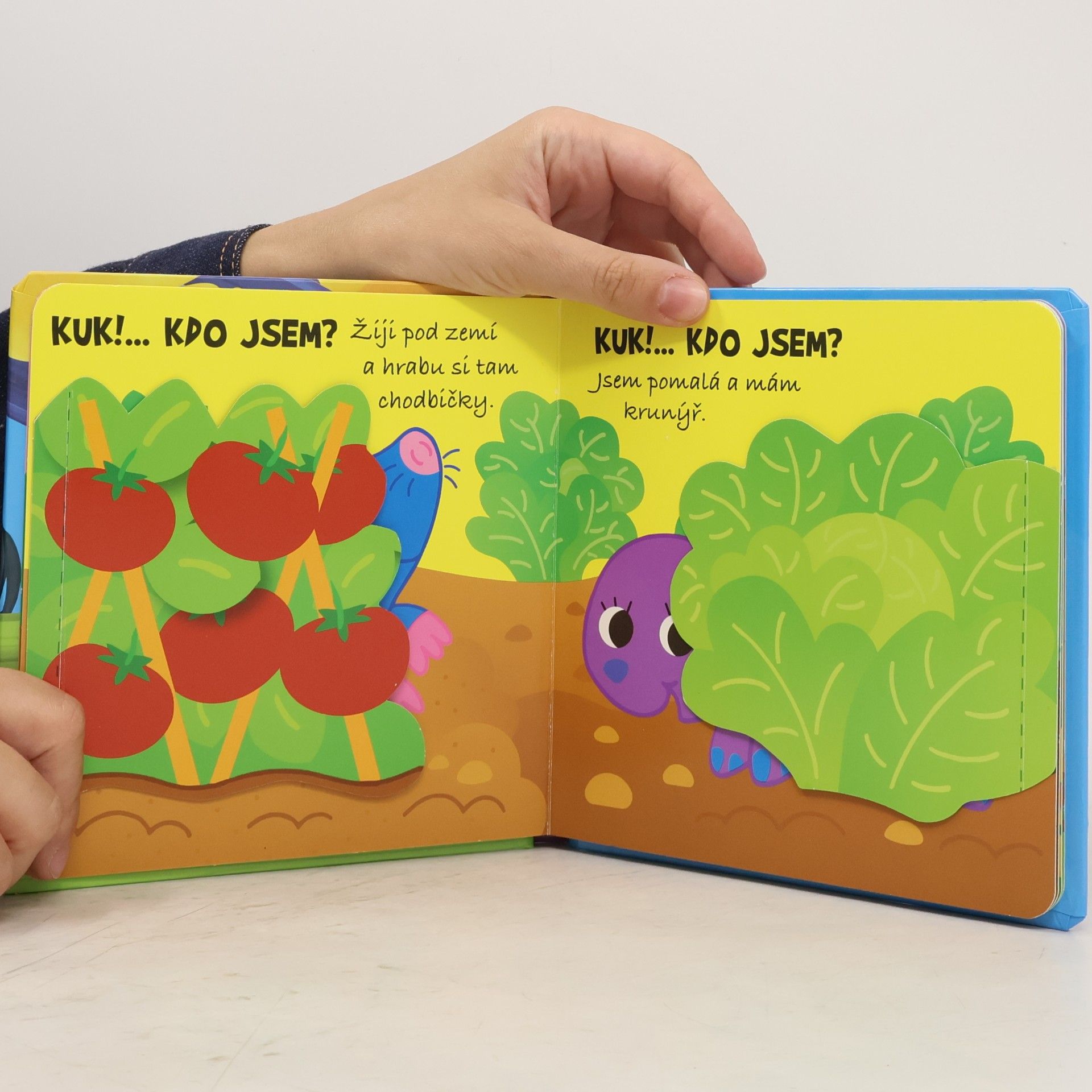 Dita Křišťanová Kuk!... Hádej! - Kdo jsem? Naše zvířátka