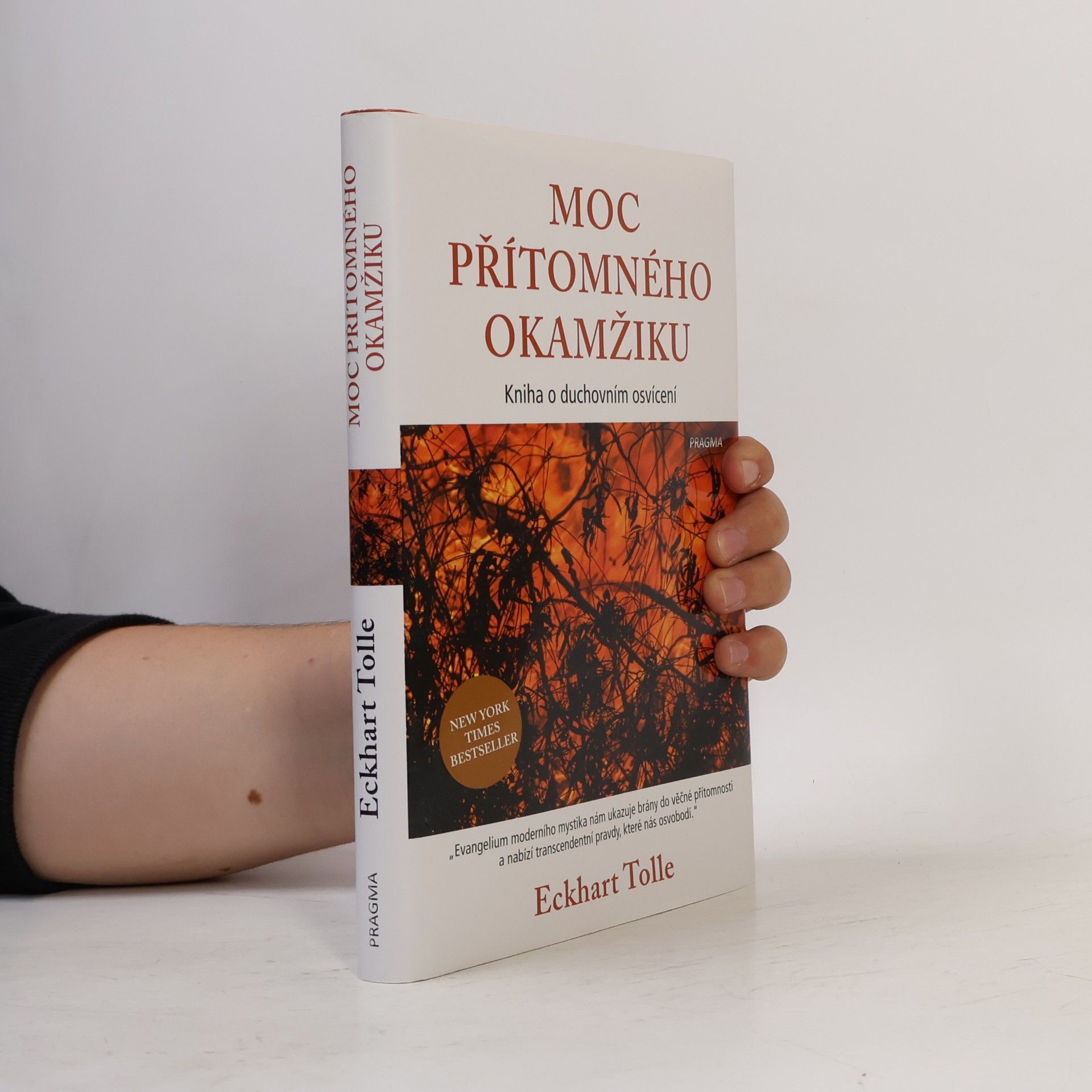Eckhart Tolle Moc přítomného okamžiku
