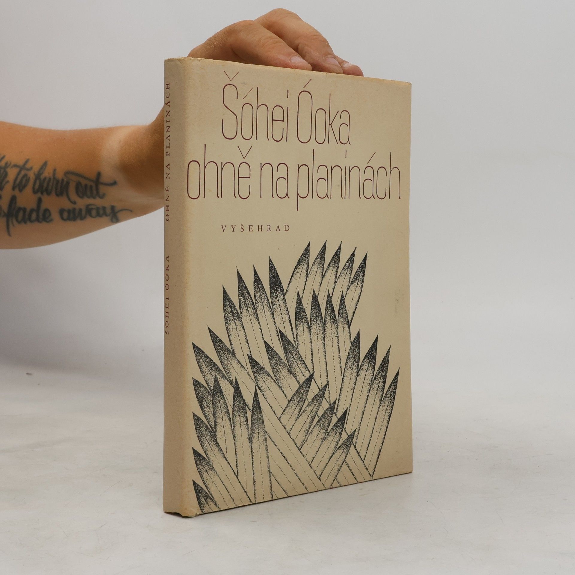 Shōhei Ōoka Ohně na planinách