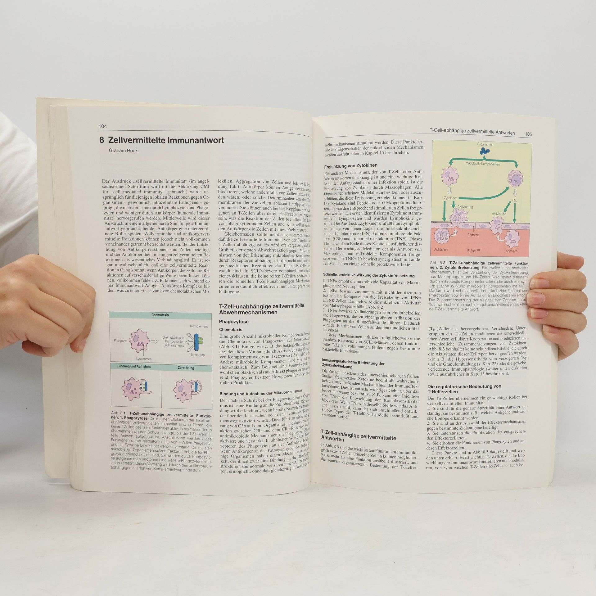 Ivan M. Roitt Kurzes Lehrbuch der Immunologie