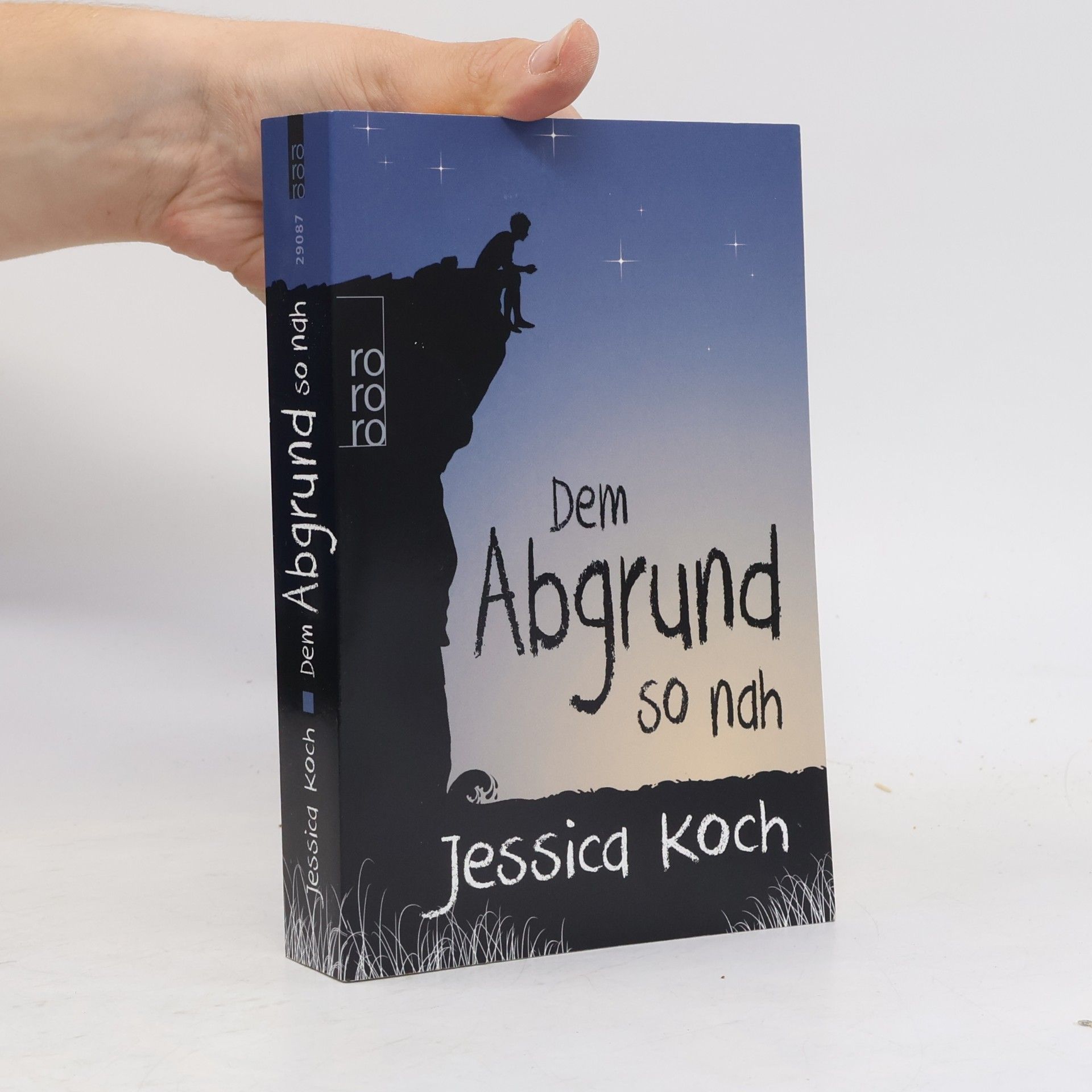 Jessica Koch Dem Abgrund so nah
