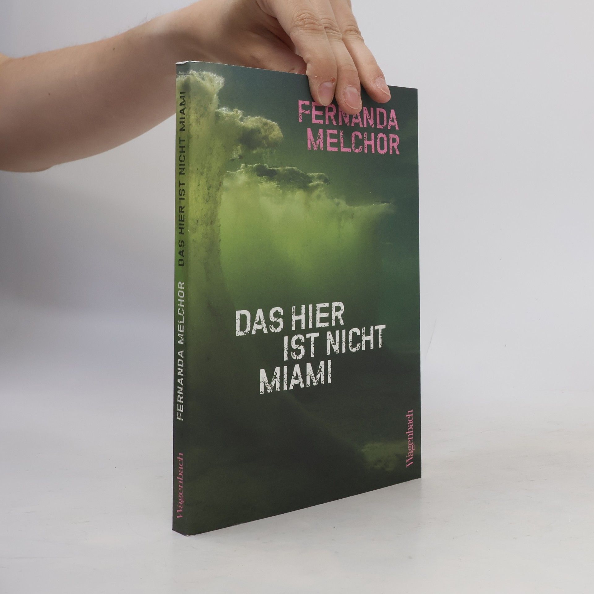 Fernanda Melchor Quartbuch: Das hier ist nicht Miami
